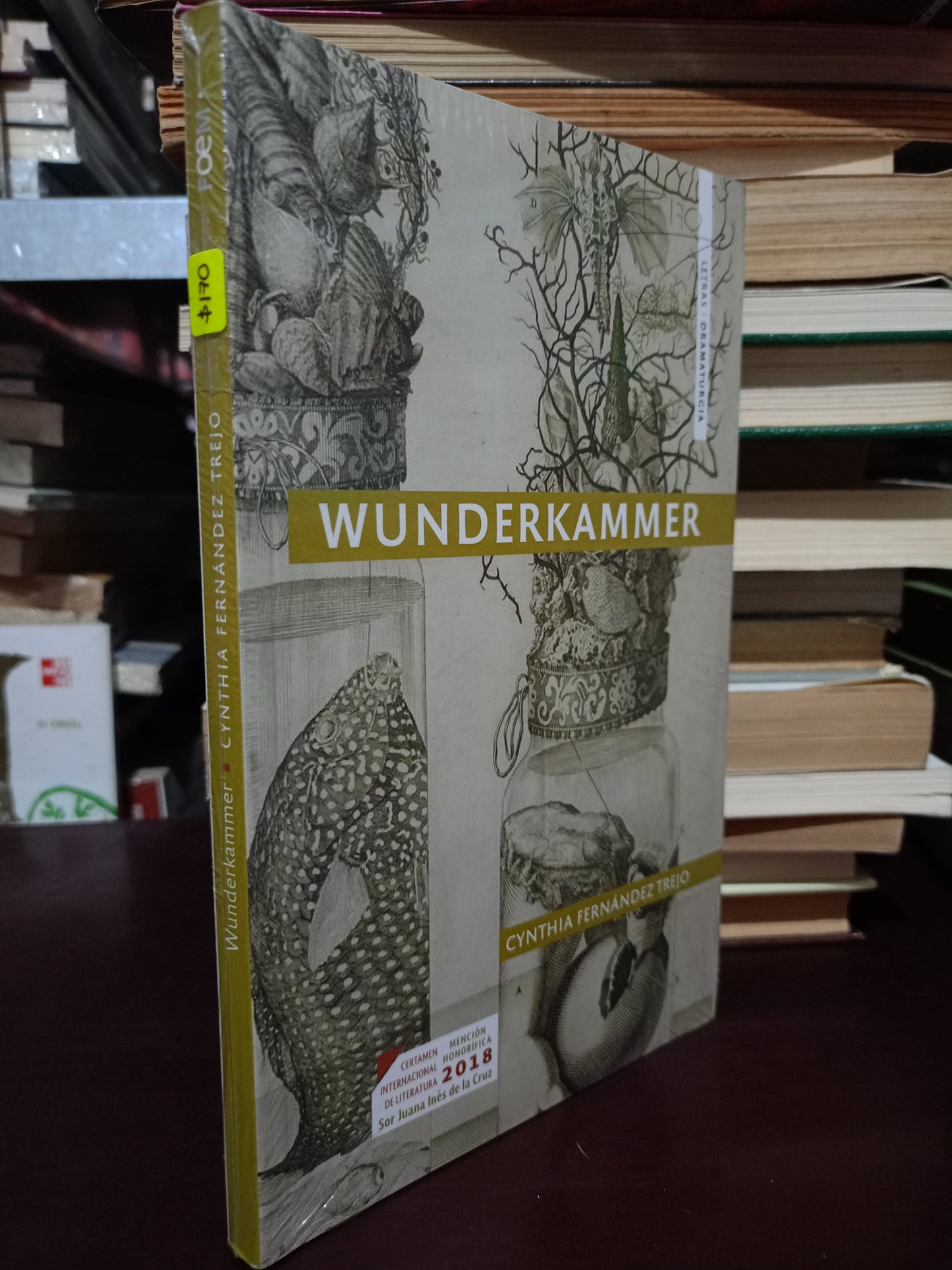 WUNDERKAMMER POR CYNTHIA FERNÁNDEZ TREJO NUEVO LIBROS NUEVOS LITERARIO 305