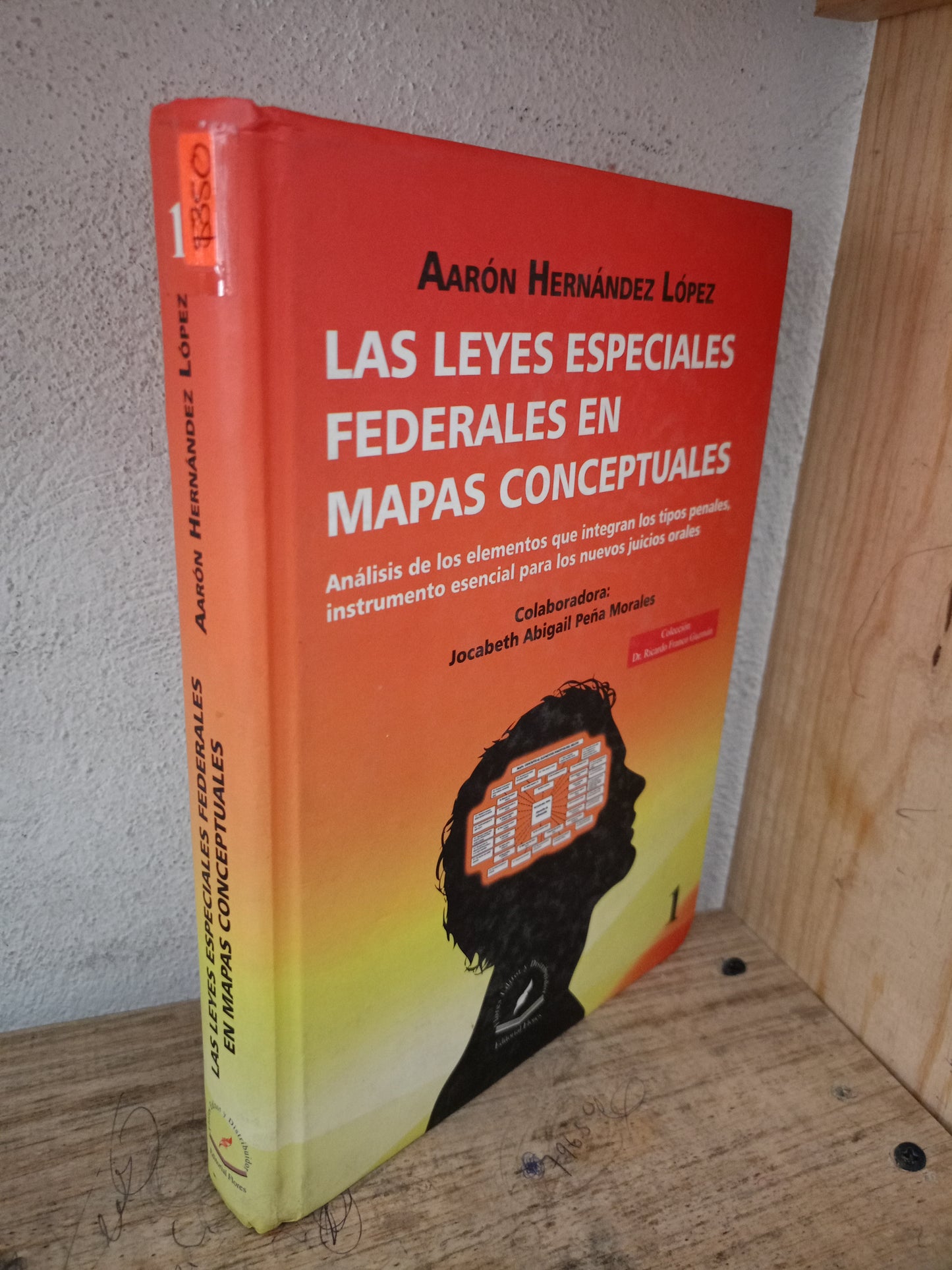 LAS LEYES ESPECIALES FEDERALES EN MAPAS CONCEPTUALES POR AARÓN HERNÁNDEZ LÓPEZ USADO DERECHO LITERARIO 305