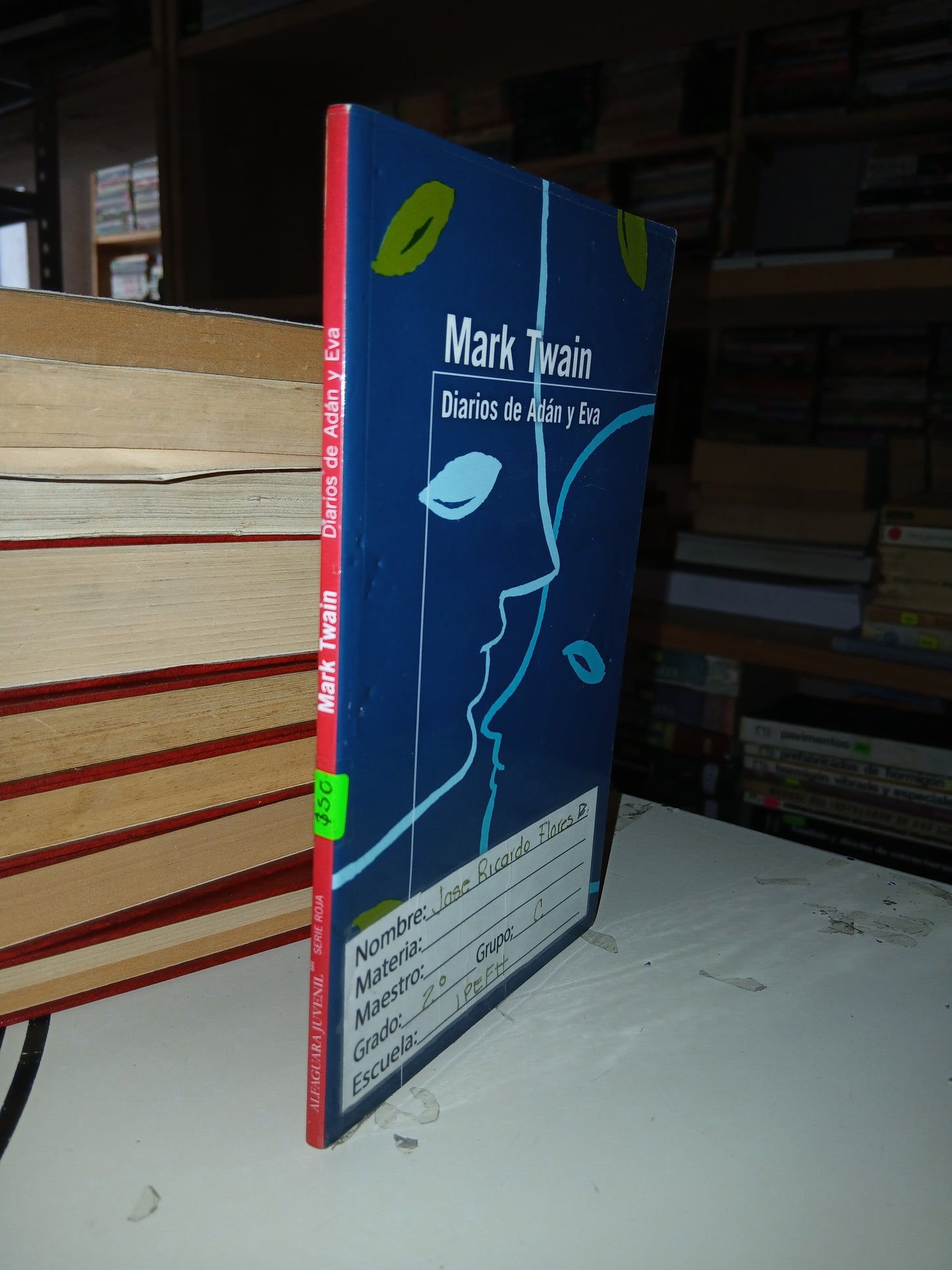 DIARIOS DE ADÁN Y EVA POR MARK TWAIN USADO NOVELA LITERARIO 207