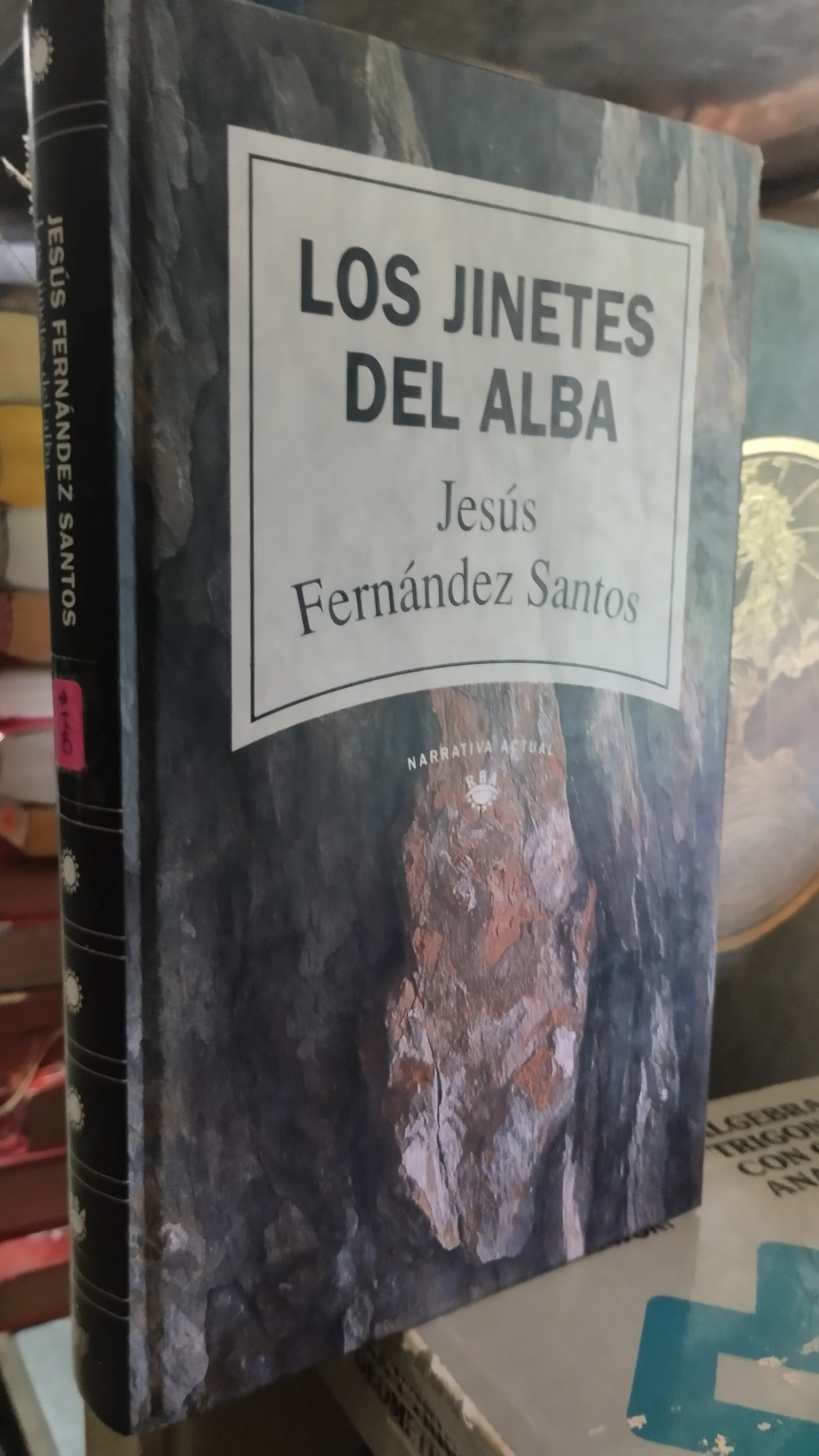 LOS JINETES DEL ALBA POR JESUS FERNANDEZ SANTOS LIBRO USADO NOVELAS ALDAMA