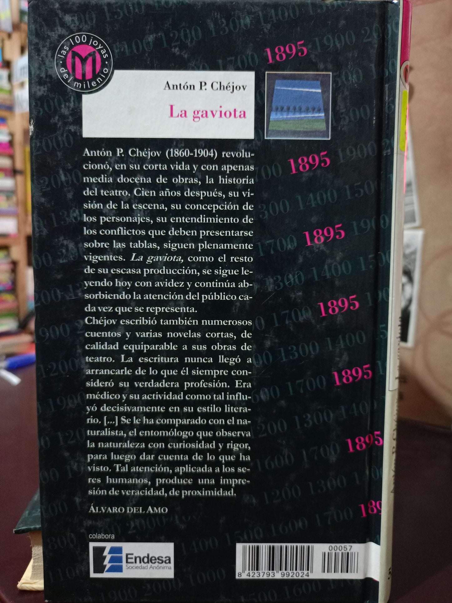 LA GAVIOTA ANTÓN P.CHÉJOV USADO NOVELA LITERARIO 305