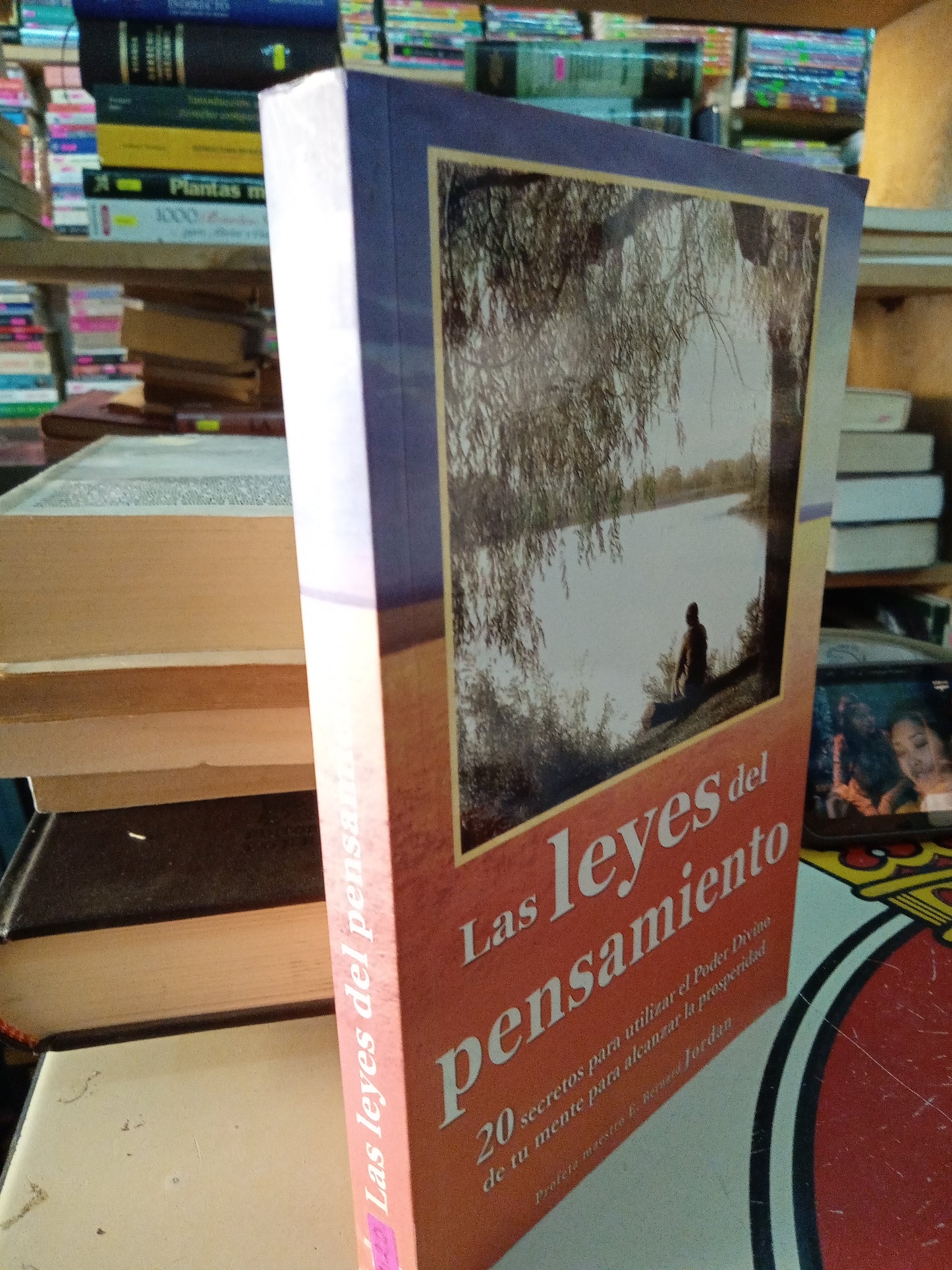 LAS LEYES DEL PENSAMINTO 20 SECRETOS PARA UTILIZAR EL PODER DIVINO DE TU LENTE PARA ALCANZAR LA PROSPERIDAD POR E BERNARD JORDAN USADO SUPERACION PERSONAL LITERARIO 207