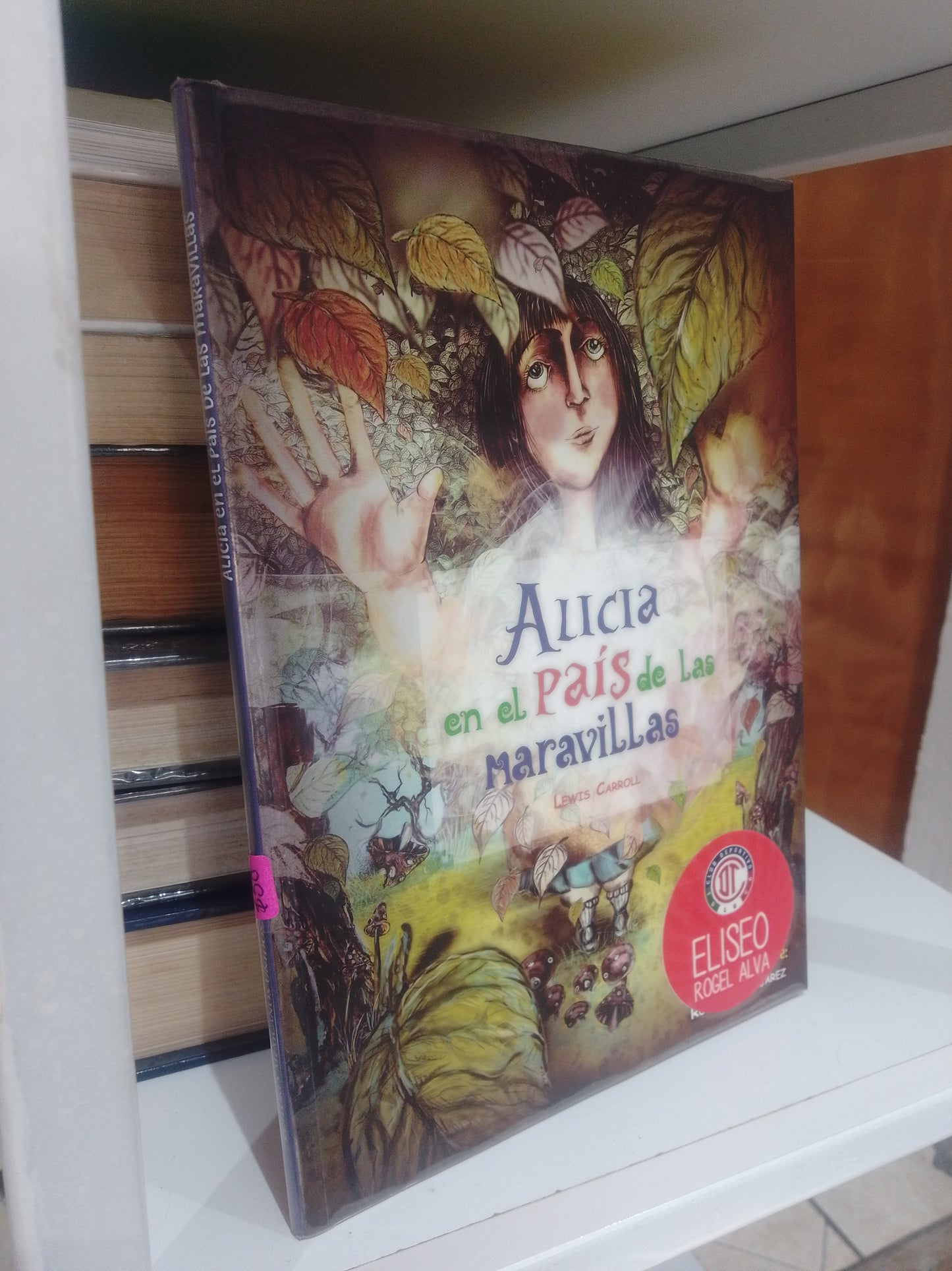 ALICIA EN EL PAIS DE LAS MARAVILLAS POR LEWIS CARROLL USADO INFANTIL  JUAREZ 515