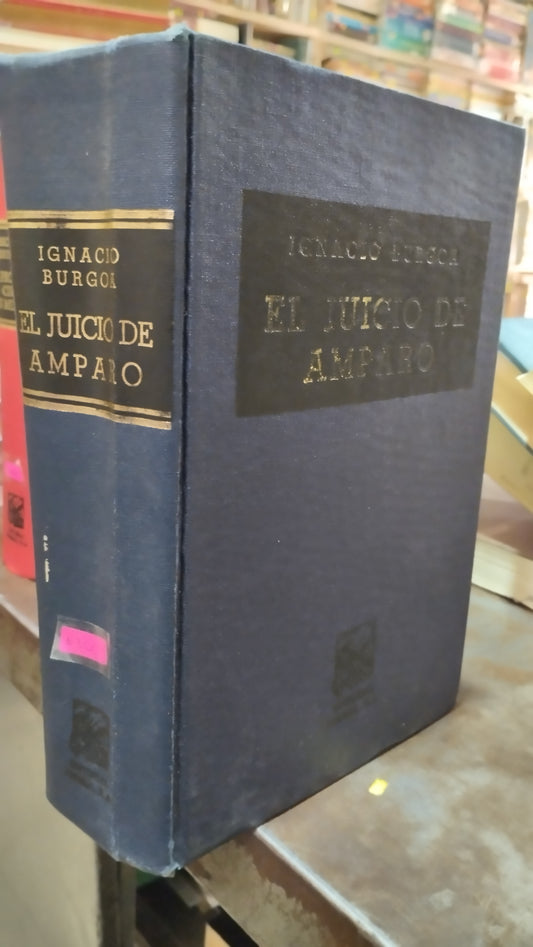 EL JUICIO DE AMPARO POR IGNACIO BURGOA LIBRO USADO DERECHO ALDAMA