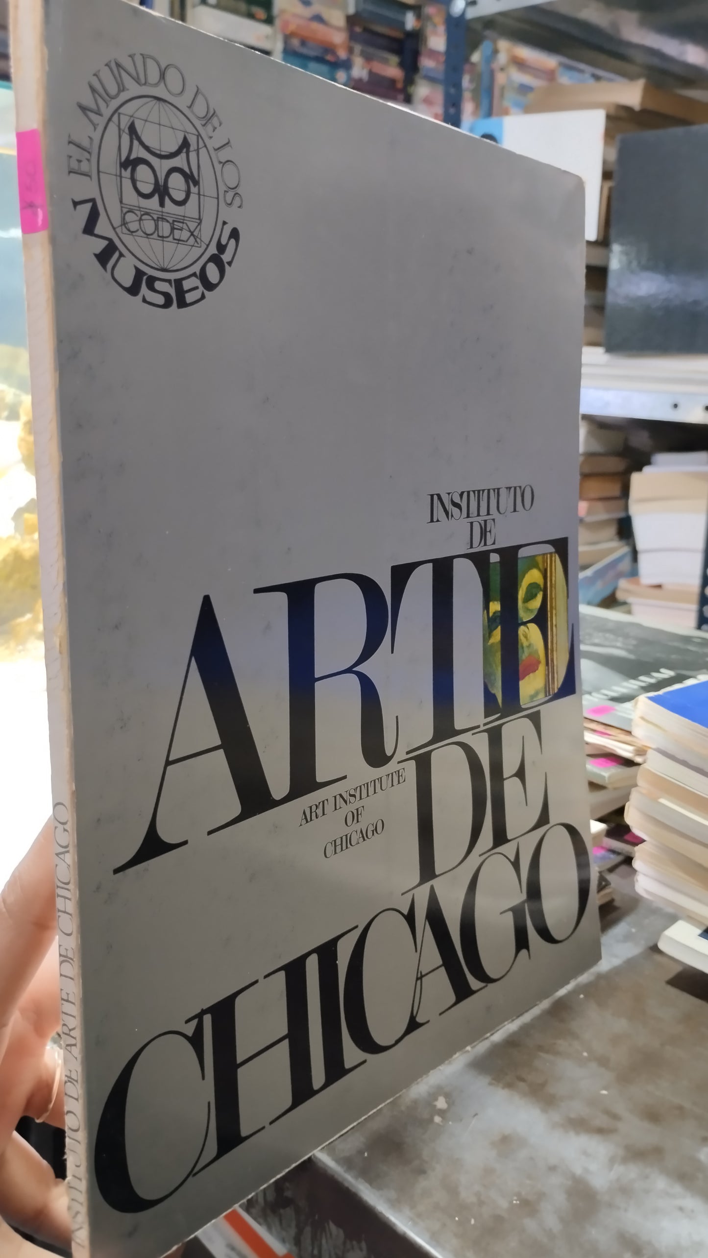 ARTE DE CHICAGO LIBRO USADO ARTE ALDAMA