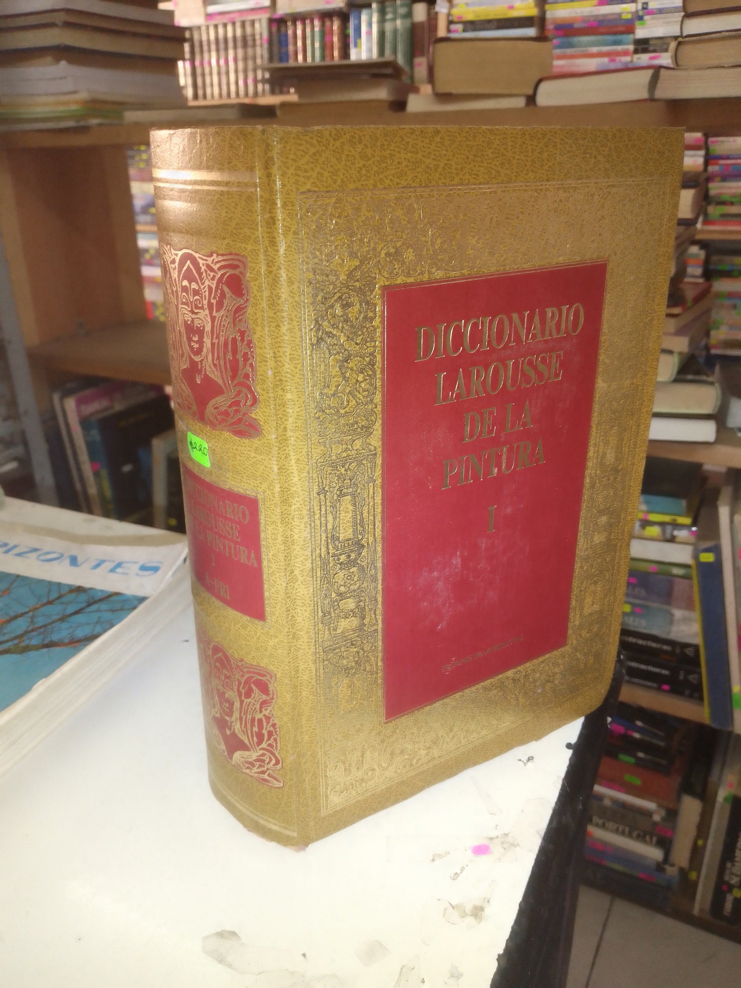 DICCIONARIO LAROUSSE DE LA PINTURA I USADO ARTE LITERARIO 207