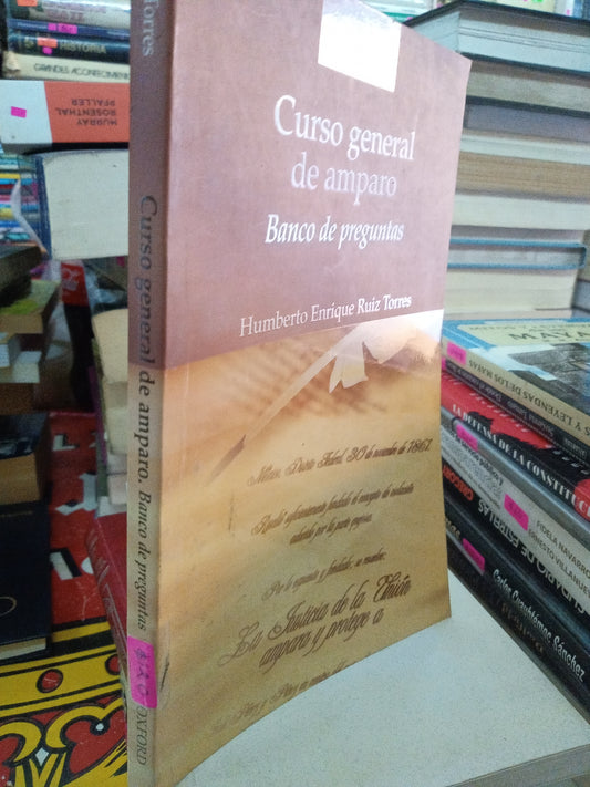 CURSO GENERAL DE AMPARO POR HUMBERTO ENRIQUE RUIZ TORRES USADO DERECHO LITERARIO 207