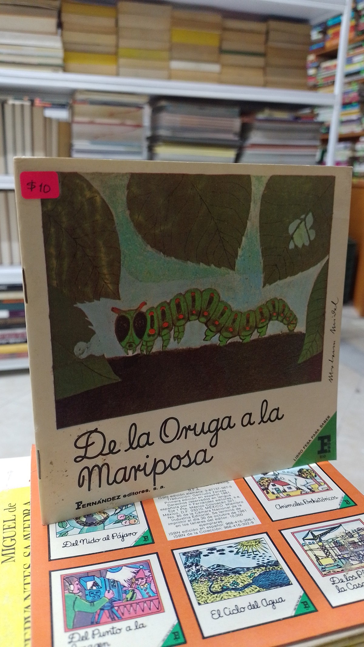 DE LA ORUGA A LA MARIPOSA POR DESCONOCIDO USADO INFANTIL JUAREZ 515