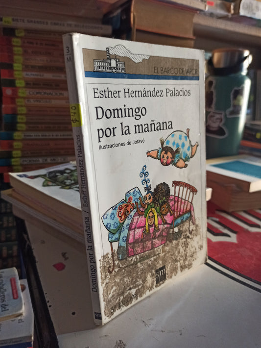 DOMINGO POR LA MAÑANA POR ESTHER HERNANDEZ PALACIOS USADO INFANTILES LITERA 207
