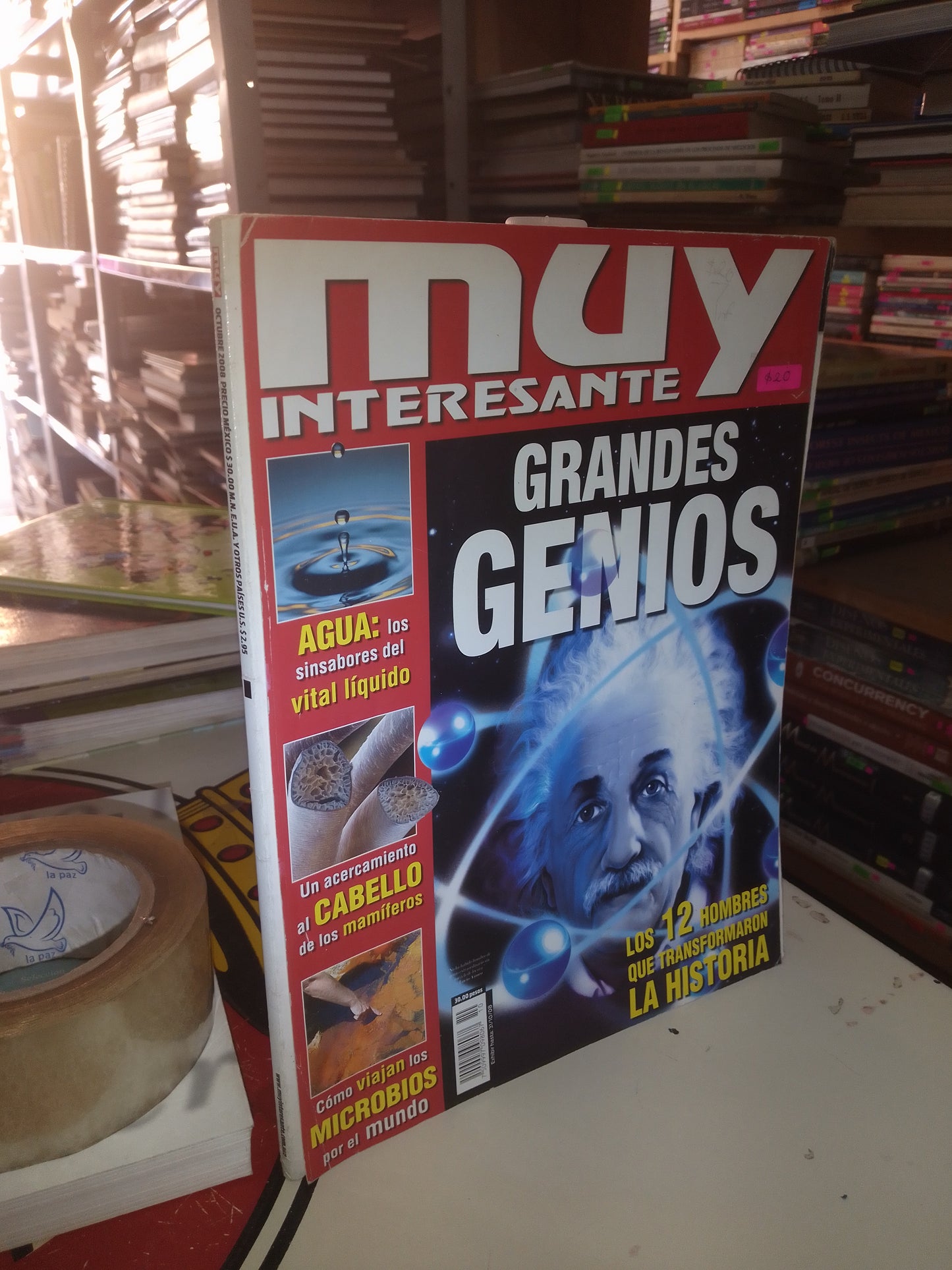 MUY INTERESANTE: GRANDES GENIOS USADO INFANTIL LITERARIO 207