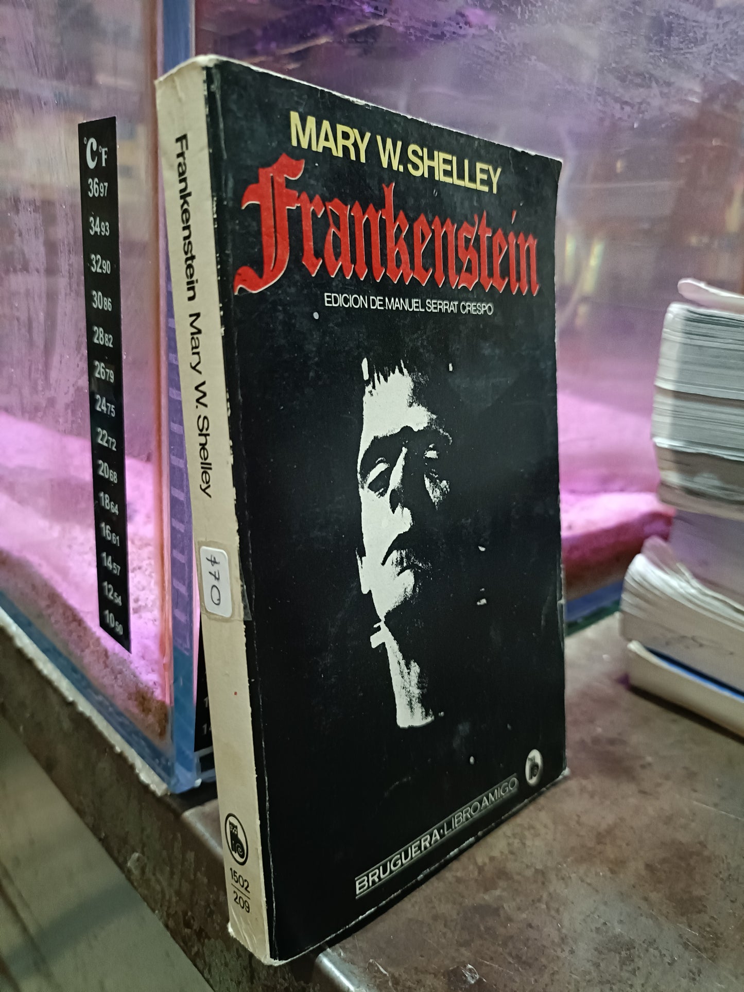 FRANKENSTEIN POR MARY W SHELLEY USADO NOVELA ALDAMA