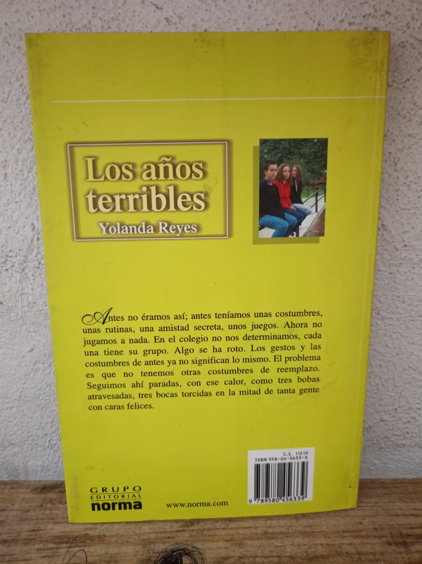 LOS AÑOS TERRIBLES POR YOLANDA REYES USADO NOVELA LITERARIO 305