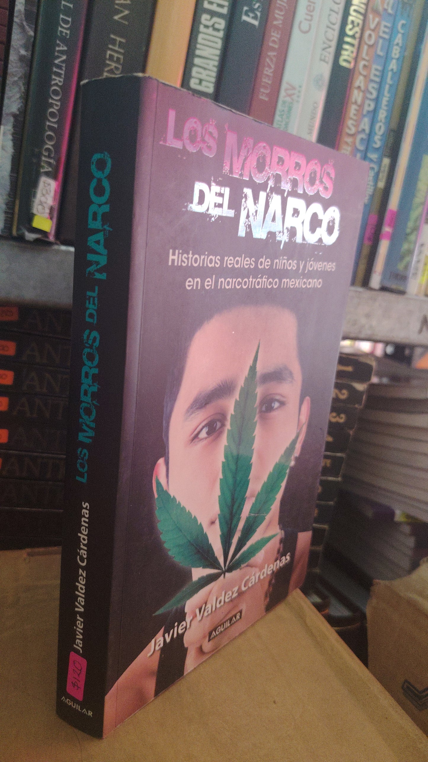 LOS MORROS DEL NARCO HISTORIAS REALES DE NIÑOS Y JOVENES EN EL NARCOTRÁFICO MEXICANO POR JAVIER VALDEZ CÁRDENAS USADO POLÍTICA LITERARIO #305