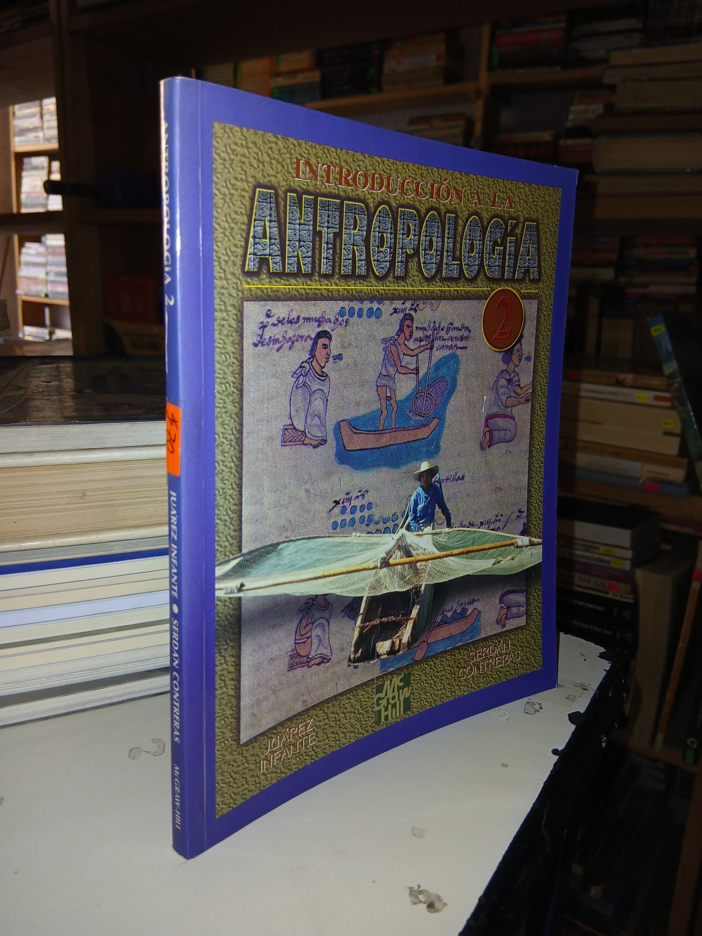 INTRODUCCIÓN A LA ANTROPOLOGÍA 2 POR JUÁREZ INFANTE Y SERDÁN CONTRERAS USADO ANTROPOLOGÍA LITERARIO 207