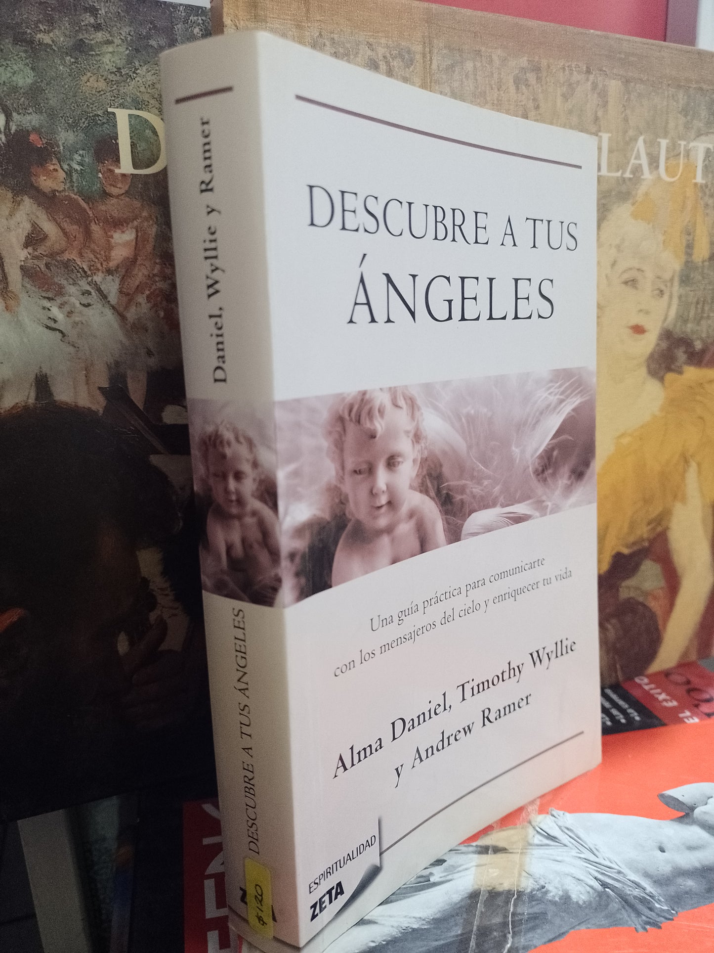 DESCUBRE A TUS ANGELES POR ALMA DANIEL TIMOTHY WYLLIE Y AMDREW RAMER USADO SUPERACION PERSONAL JUAREZ 507