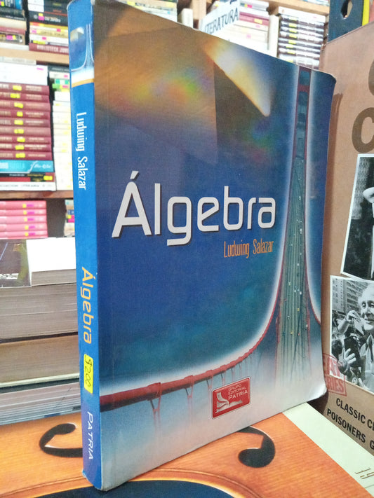 ALGEBRA POR LUDWING SALAZAR USADO MATE LITERARIO 305