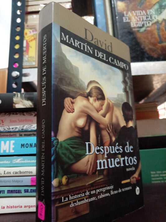DESPUÉS DE MUERTOS POR DAVID MARTIN DEL CAMPO USADO NOVELA LITERARIO 305