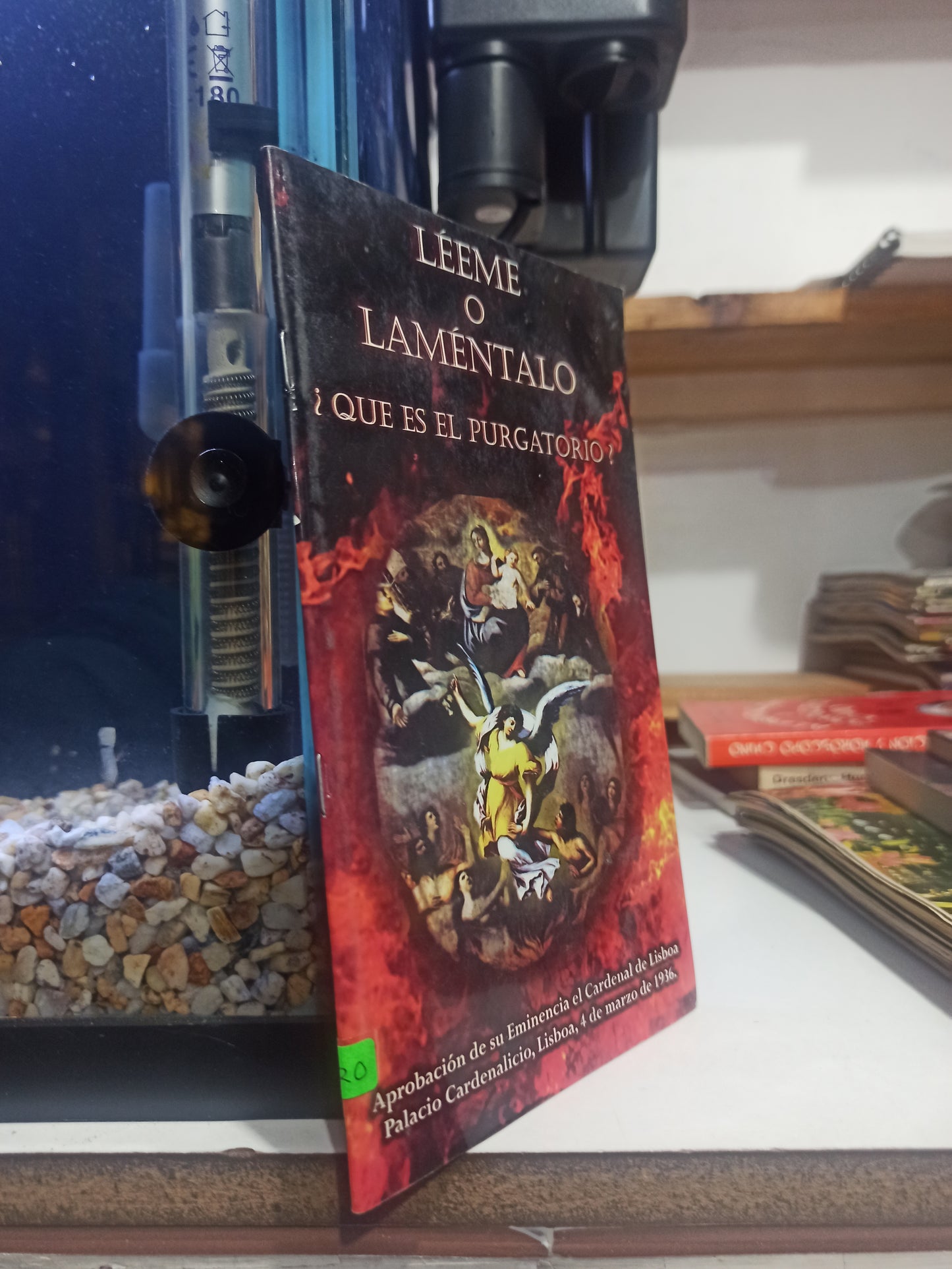 LEEME O LAMENTALO USADO ESOTERISMO JUÁREZ