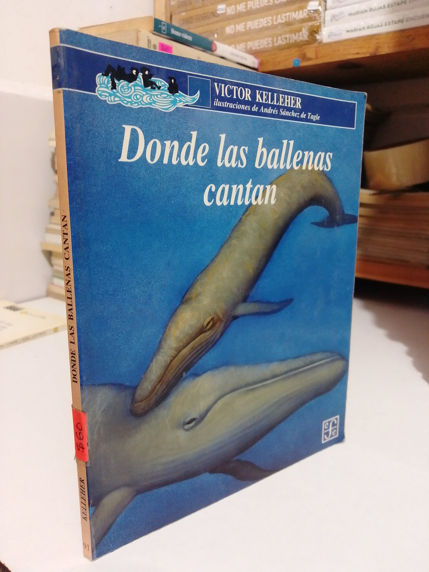 DONDE LAS BALLENAS CANTAN POR VÍCTOR KELLEHER USADO INFANTIL JUÁREZ