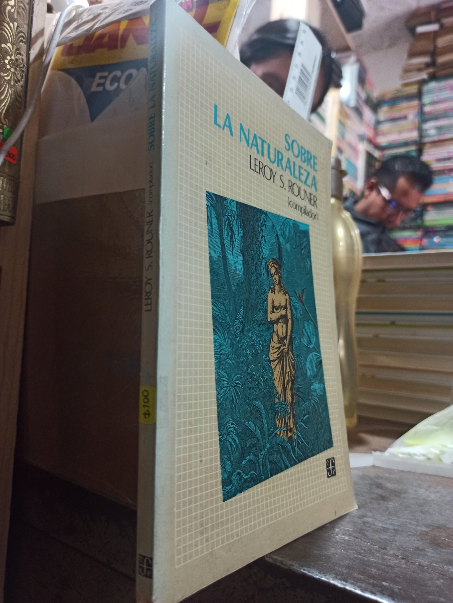 SOBRE LA NATURALEZA POR LEROY S. ROUNER USADO SOCIOLOGIA ALDAMA