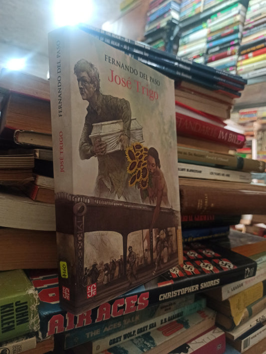 JOSÉ TRIGO POR FERNANDO DEL PASO USADO NOVELAS ALDAMA