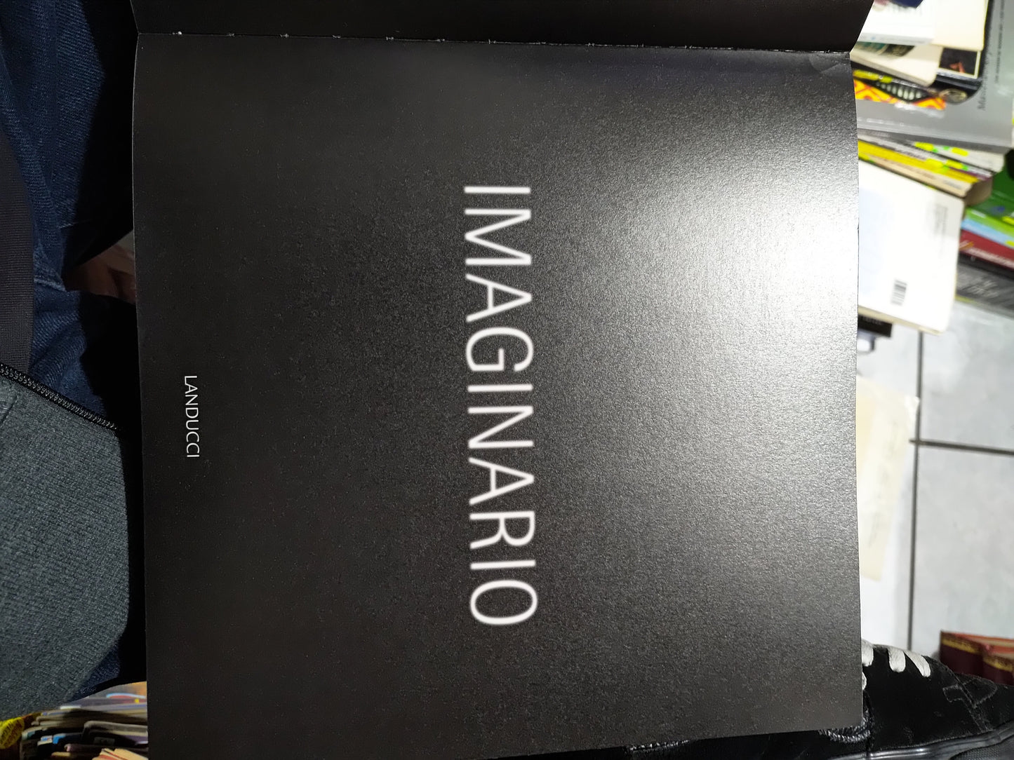 IMAGINARIO POR LANDUCCI USADO ARTE JUAREZ