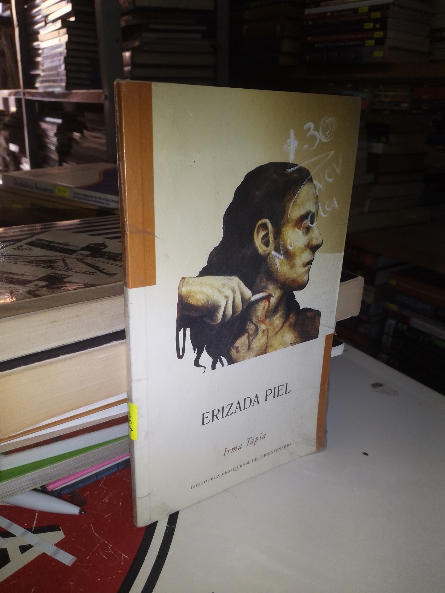 ERIZADA PIEL POR IRMA TAPIA USADO NOVELA LITERARIO 207