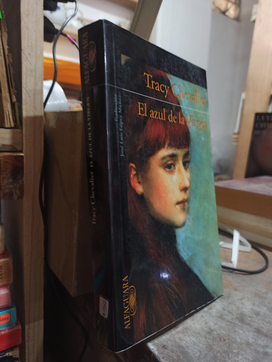 EL AZUL DE LA VIRGEN POR TRACY CHEVALIER USADO NOVELAS ALDAMA