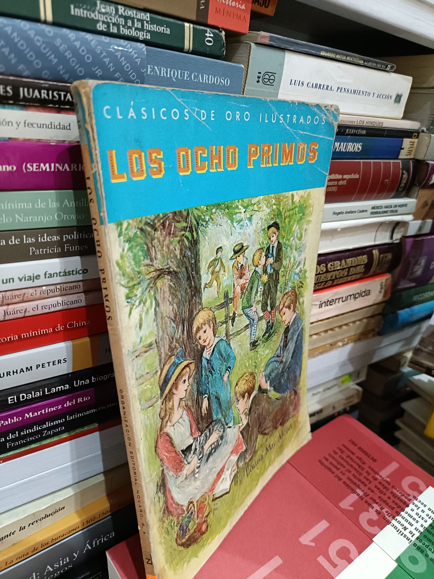 LOS OCHO PRIMOS ILUSTRADO USADO NOVELA JUAREZ 515