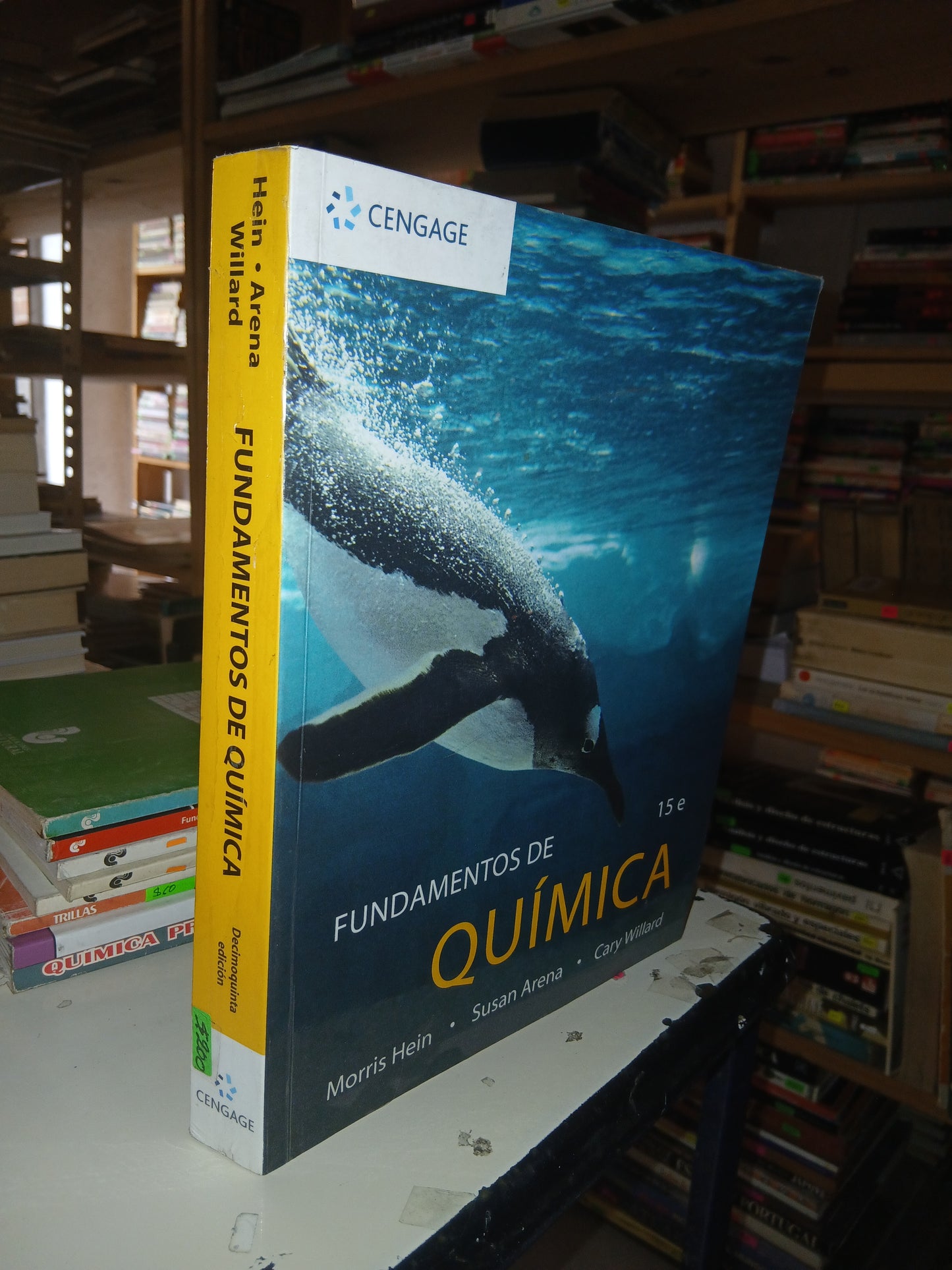 FUNDAMENTOS DE QUÍMICA POR MORRIS HEIN, SUSAN ARENA Y CARY WILLARD USADO QUÍMICA LITERARIO 207