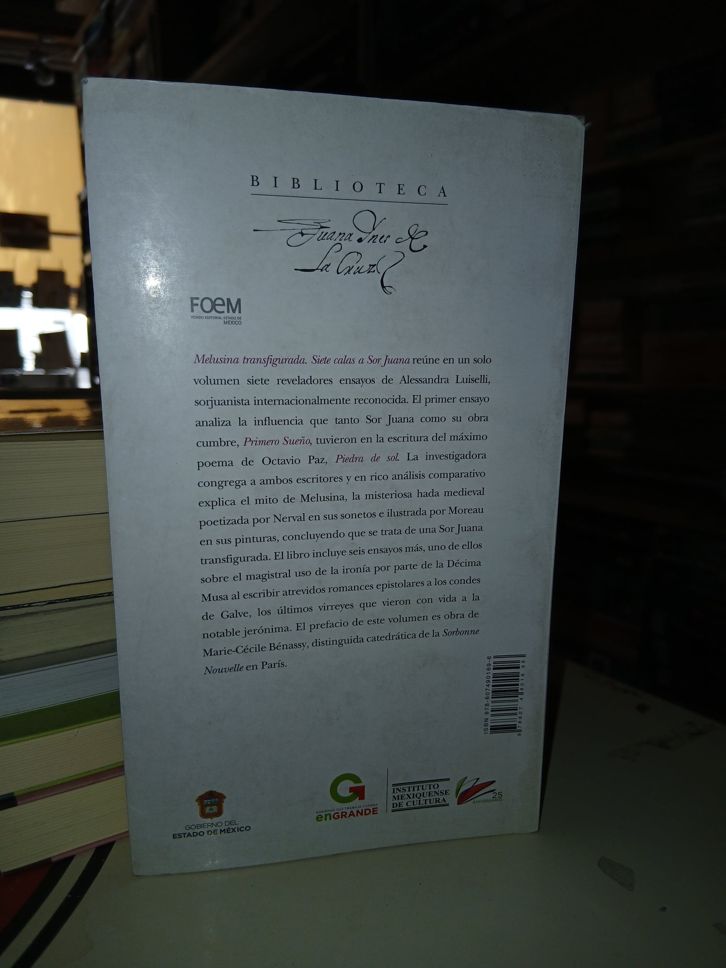 MELUSINA TRANSFIGURADA SIETE CARTAS A SOR JUANA POR ALESSANDRA LUISELLI USADO NOVELA LITERARIO 207