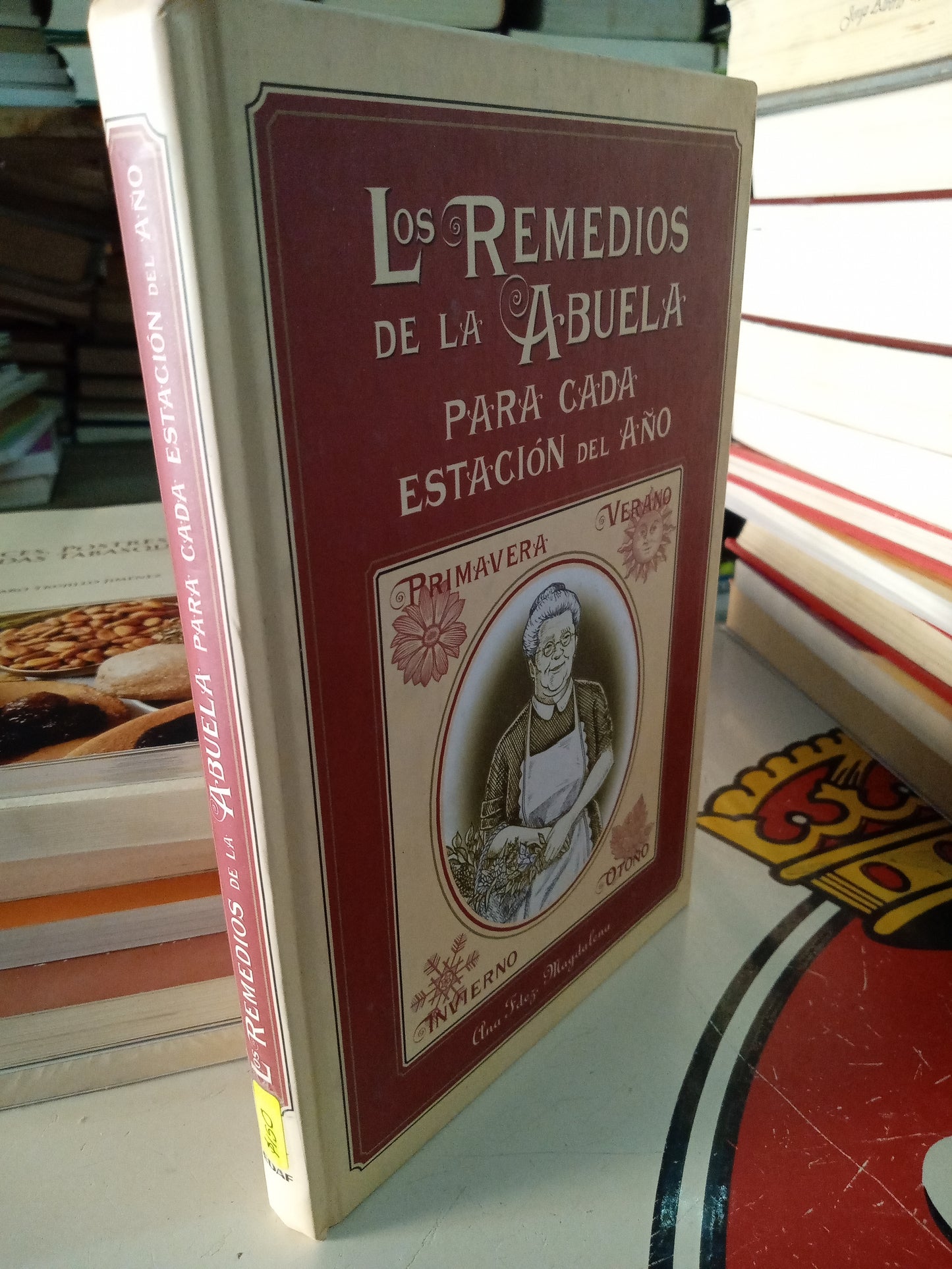 LOS REMEDIOS DE LA ABUELA PARA CADA ESTACION DEL AÑO PIR ANA FERNANDEZ MAGDALENA USADO SALUD LITERARIO 207