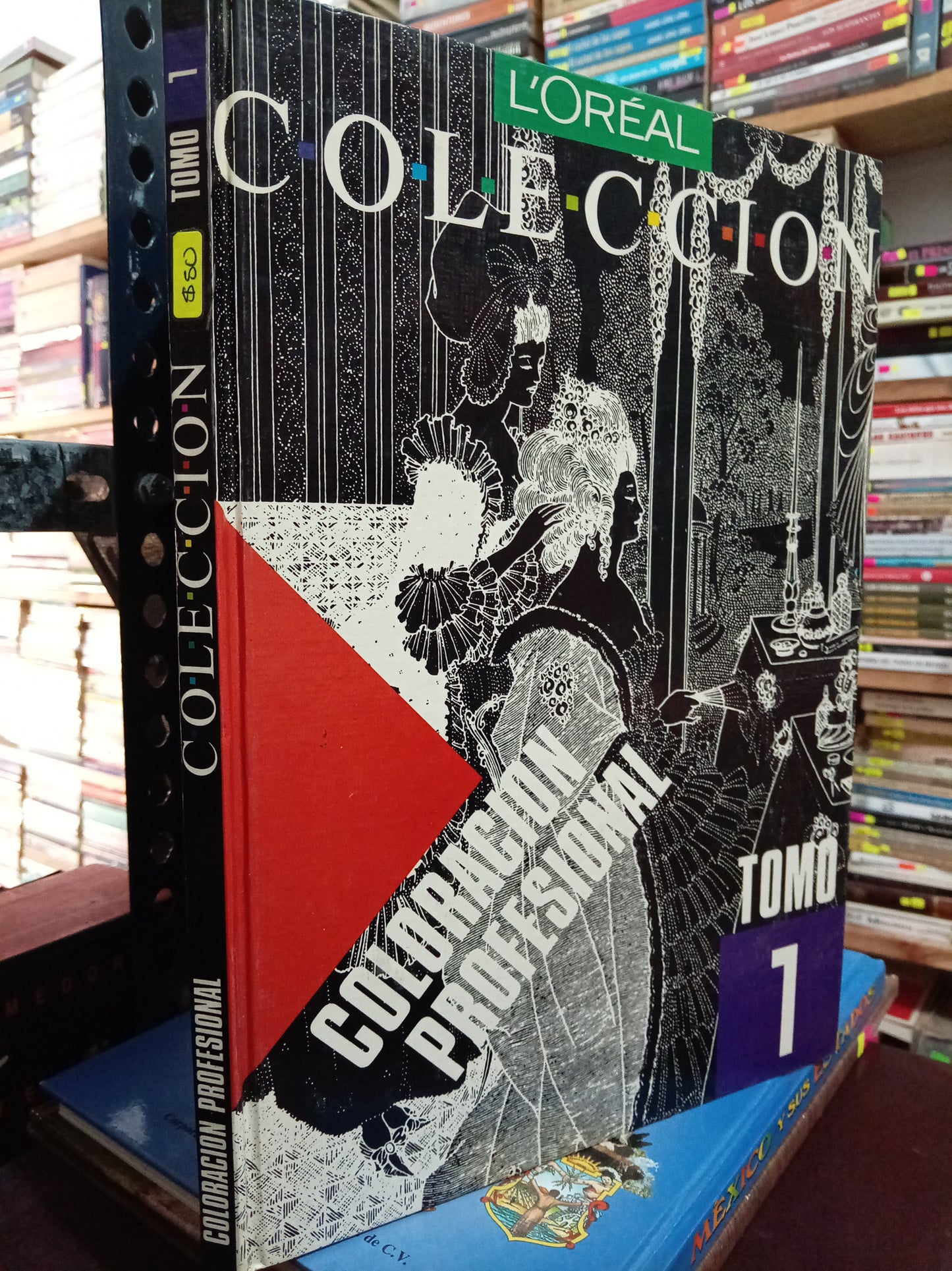 COLECCION COLORACION PERSONAL USADO ARTE LITERARIO 305