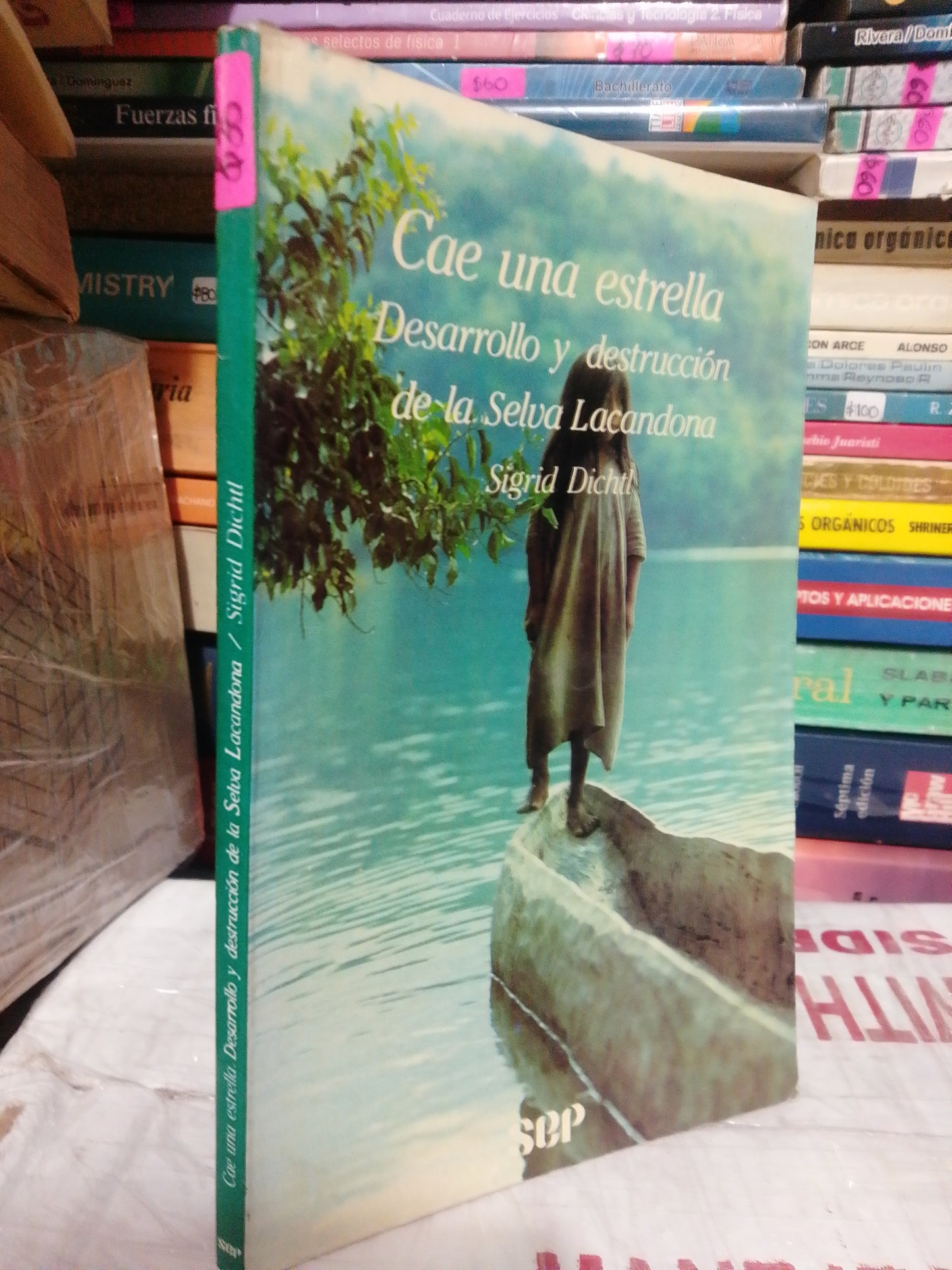 CAE UNA ESTRELLA POR SIGRID DICHTL USADO NOVELA JUÁREZ