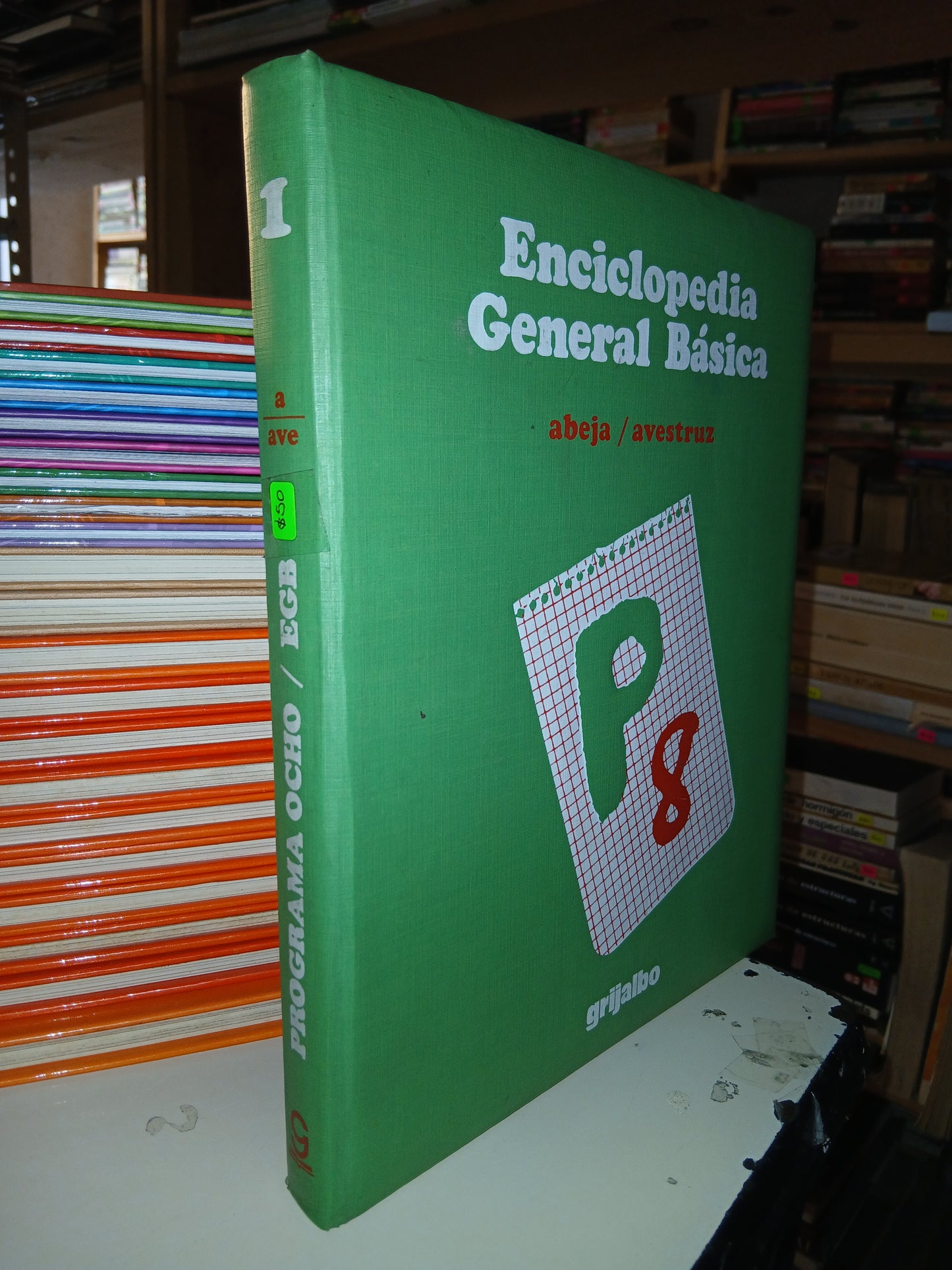 ENCICLOPEDIA GENERAL BÁSICA PROGRAMA OCHO (VARIOS AUTORES) USADO INFANTIL LITERARIO 207