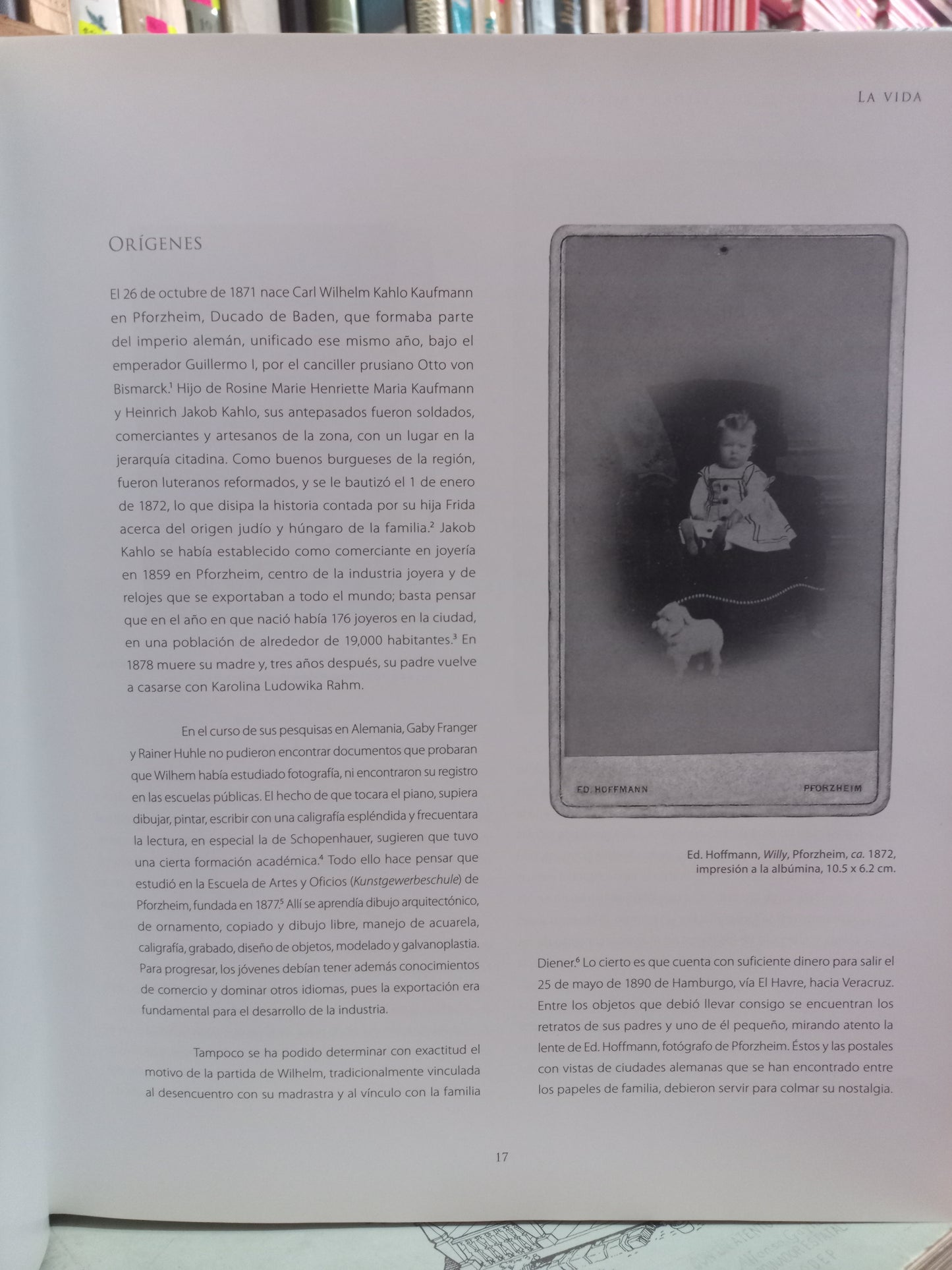 GUILLERMO KAHLO LUZ, PIEDRA Y ROSTRO POR ROSA CASANOVA USADO ARTE LITERARIO 305