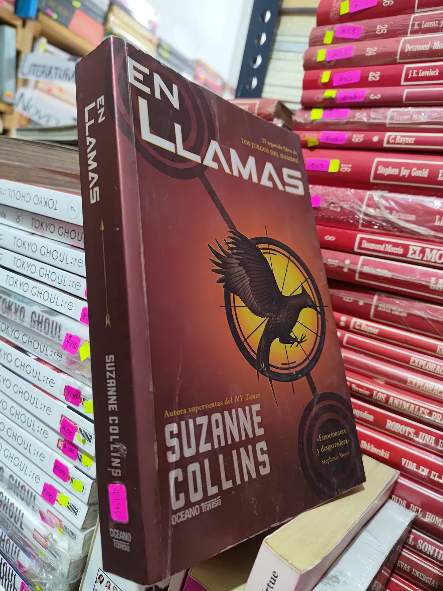 EN LLAMAS POE SUZANNE COLLINS USADO NOVELAS LITERARIO 305