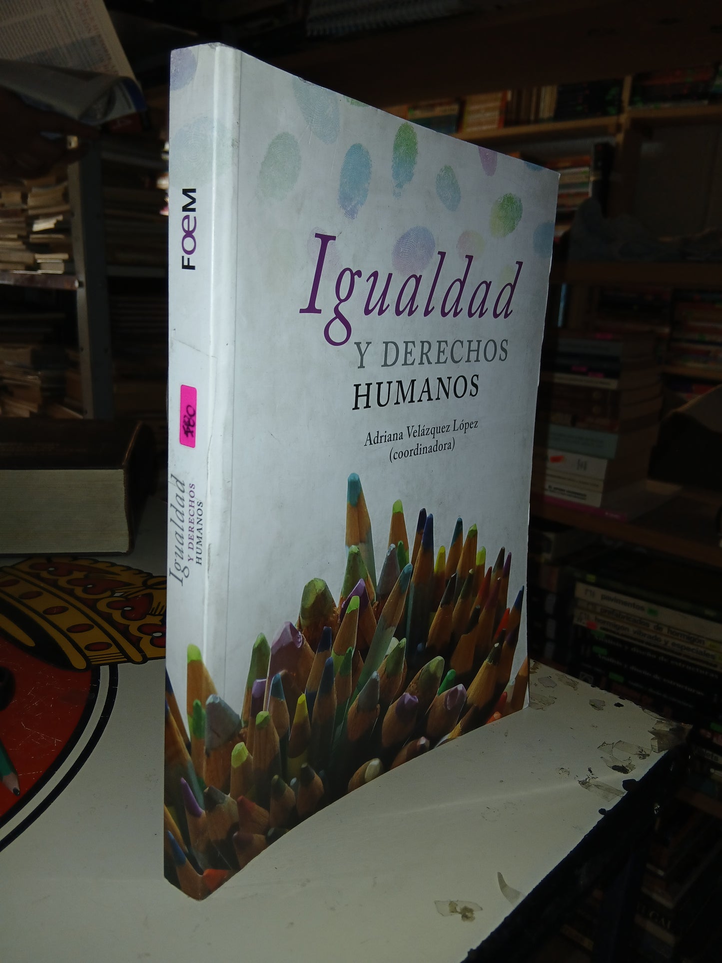 IGUALDAD Y DERECHOS HUMANOS COORDINADO POR ADRIANA VELÁZQUEZ LÓPEZ USADO POLÍTICA LITERARIO 207