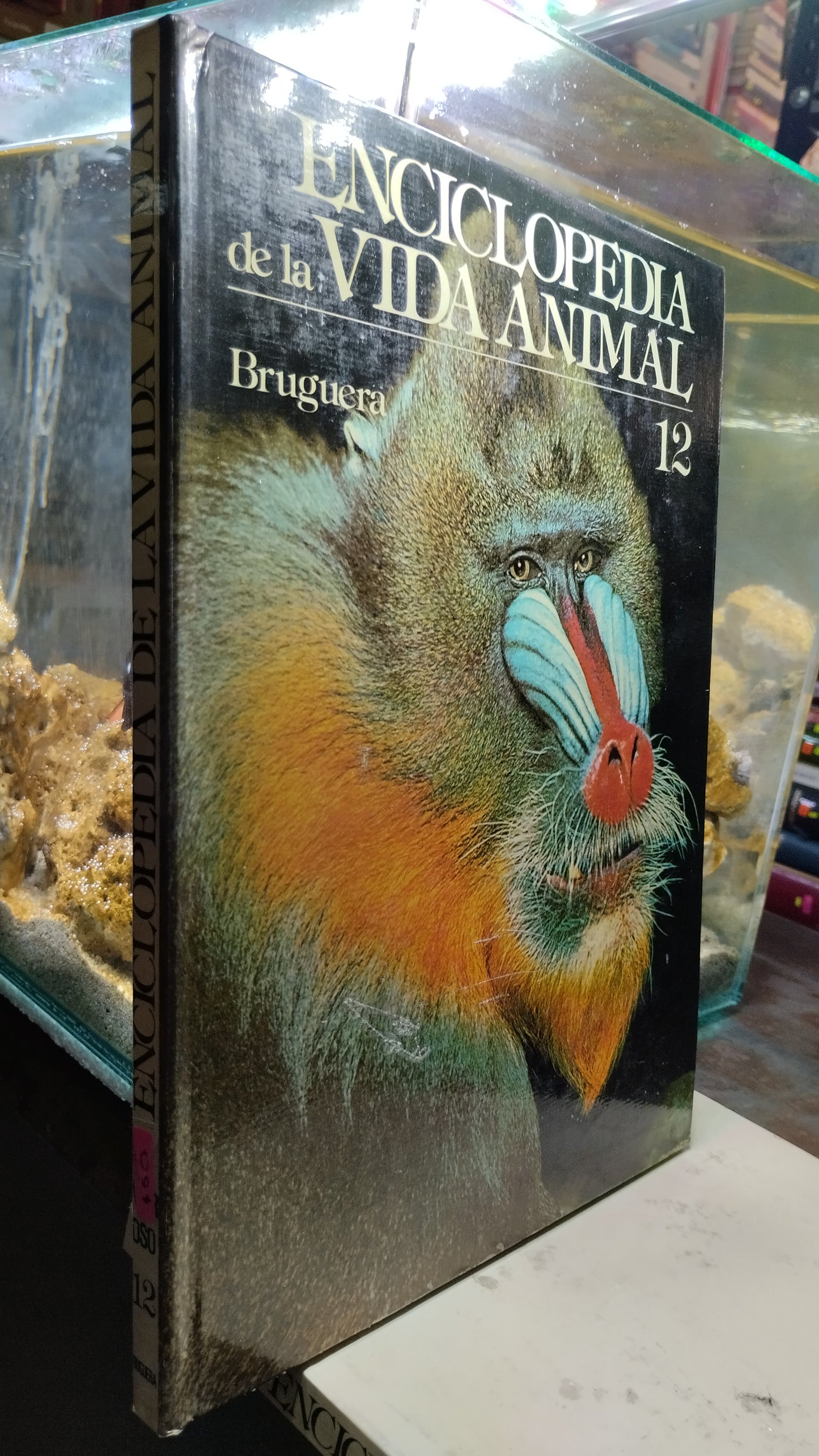 ENCICLOPEDIA DE LA VIDA ANIMAL 12 LIBRO USADO BIOLOGIA ALDAMA