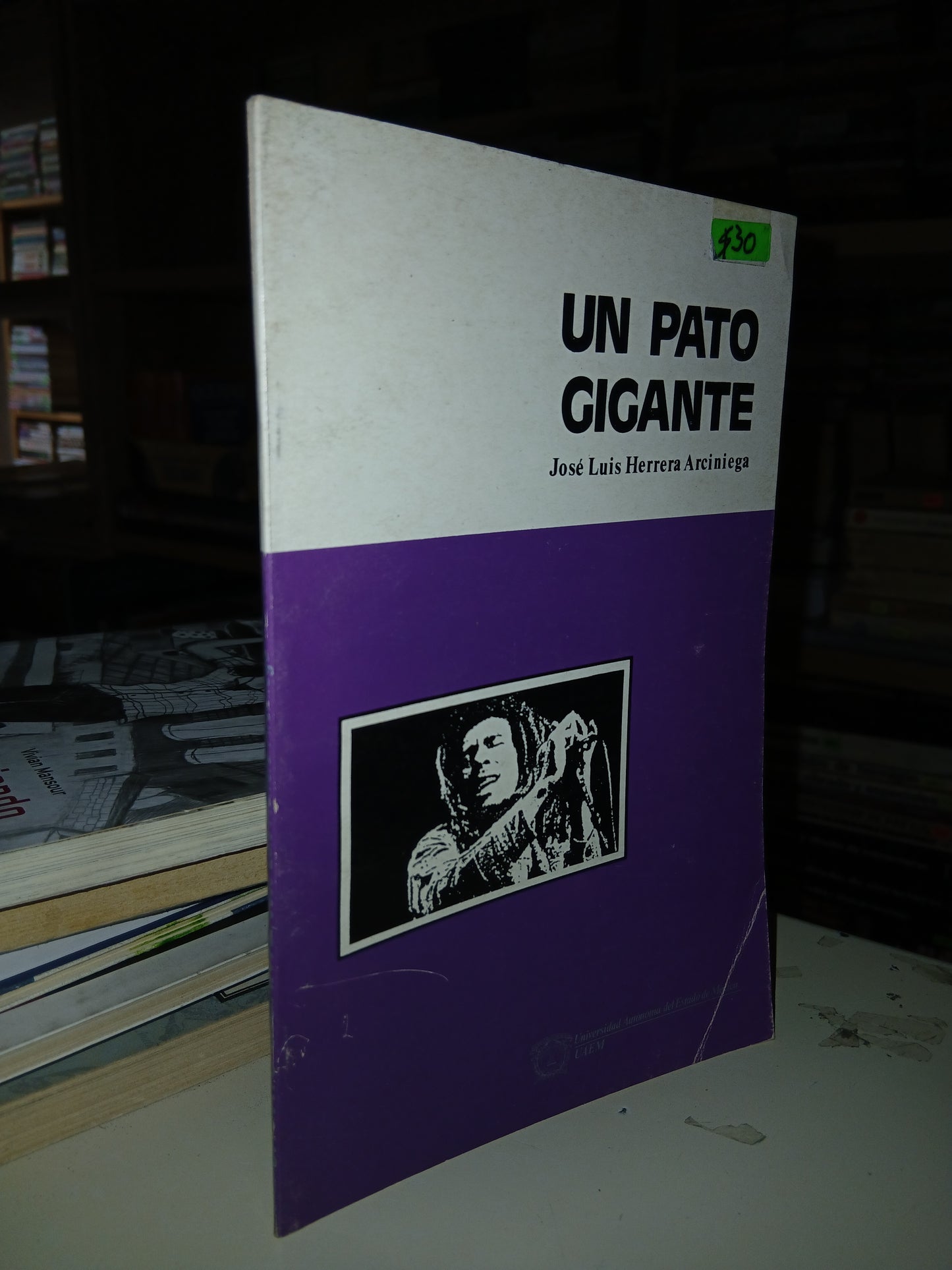 UN PATO GIGANTE POR JOSÉ LUIS HERRERA ARCINIEGA USADO NOVELA LITERARIO 207
