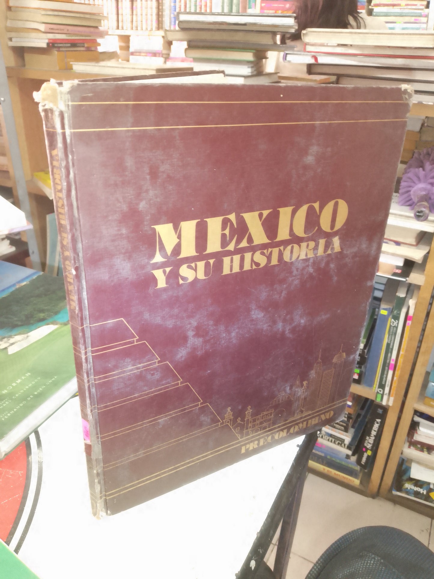 MÉXICO Y SU HISTORIA USADO HISTORIA LITERARIO 207