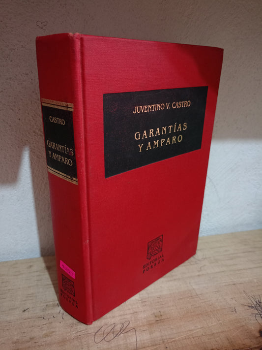GARANTÍAS Y AMPARO POR JUVENTINO V. CASTRO USADO DERECHO JUAREZ 515