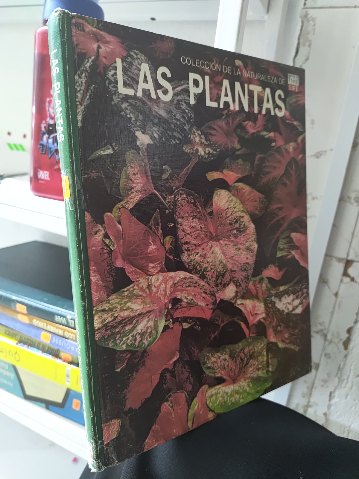 LAS PLANTAS POR EDITORIAL CULTURALES INTERNACIONALES USADO BIOLOGIA JUAREZ 515