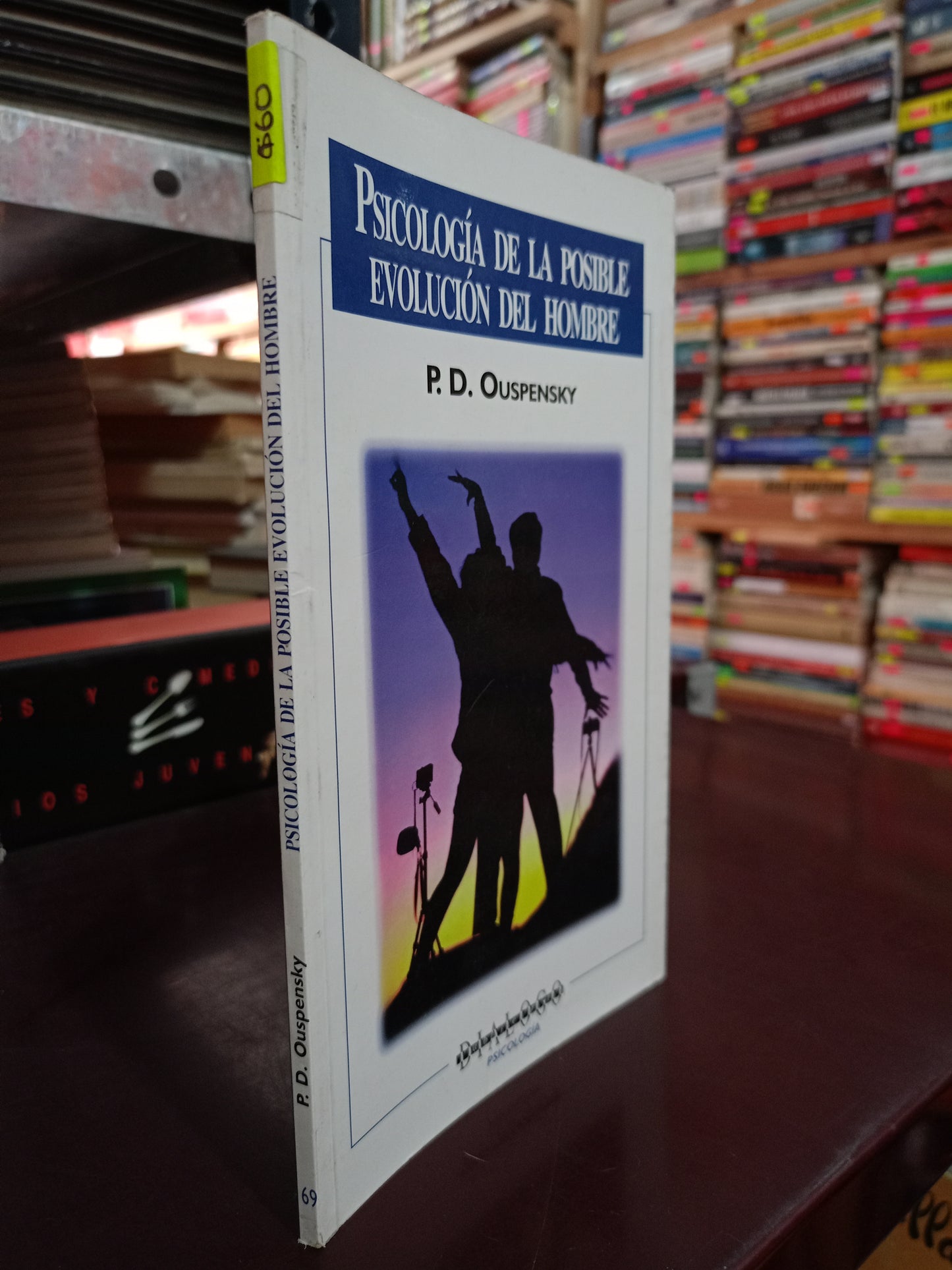 PSICOLOGÍA DE LA POSIBLE EVOLUCIÓN DEL HOMBRE POR P.D. OUSPENSKY USADO PSICOLOGÍA LITERARIO 305