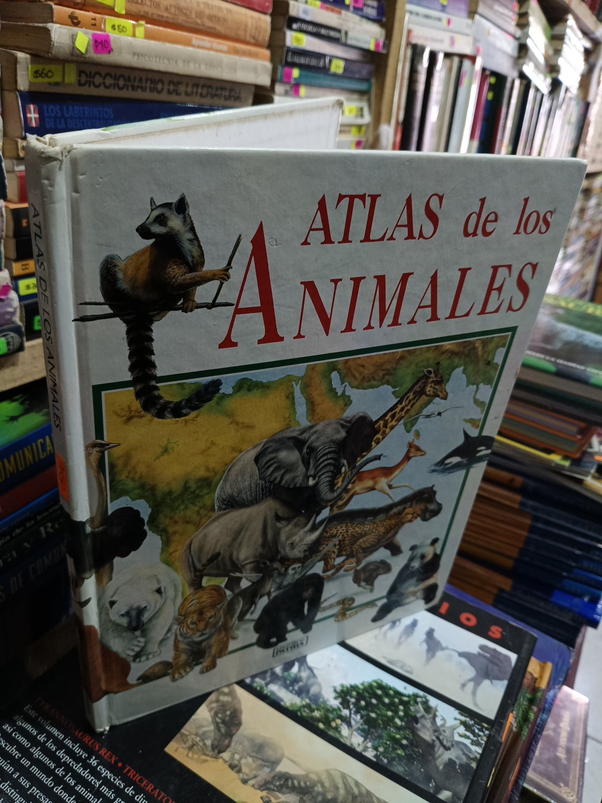 ATLAS DE LOS ANIMALES USADO INFANTIL LITERARIO 305