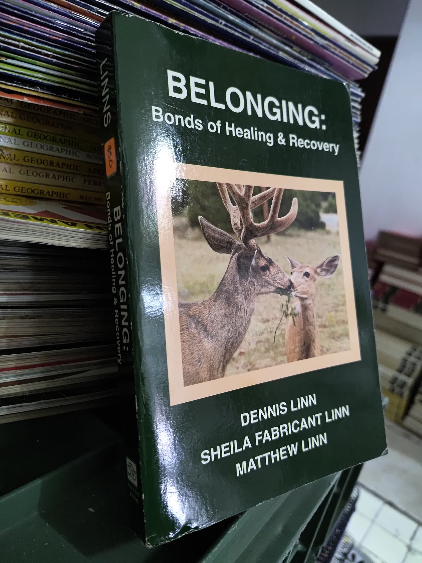BELONGING BONDS OF HEALING AND RECOVERY POR DENNIS LINN USADO IDIOMAS JUAREZ 515