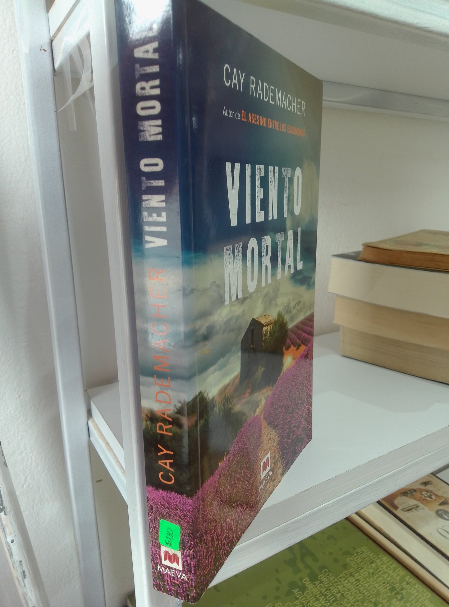VIENTO MORTAL CAY RADEMACHER USADO NOVELAS JUAREZ 515