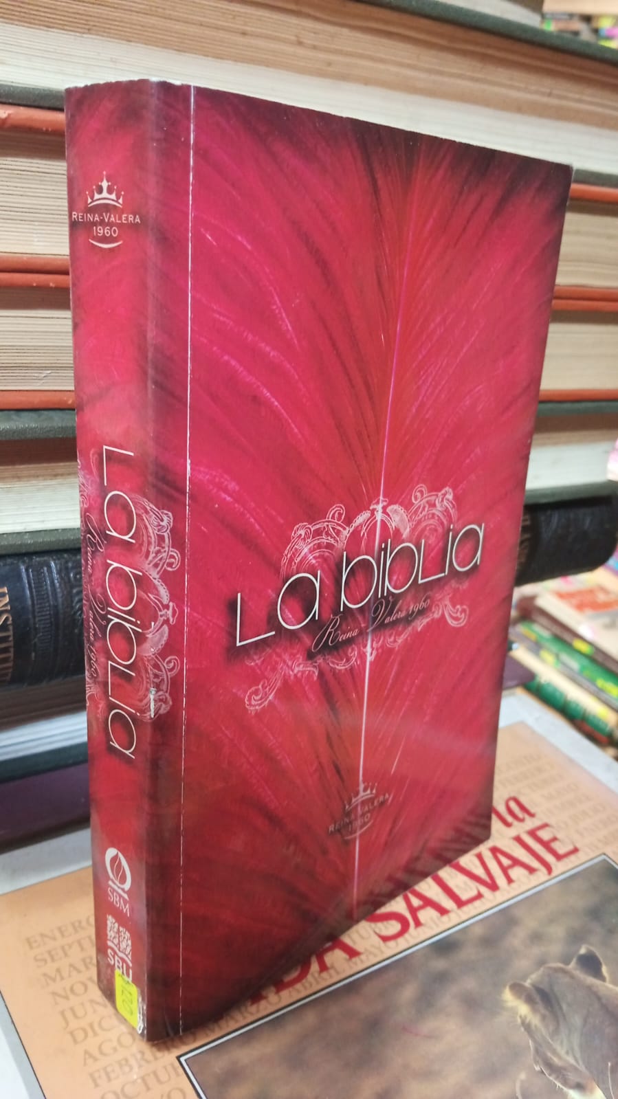 LA BIBLIA DE REINA VALERA 1960 USADO RELIGION JUAREZ 507