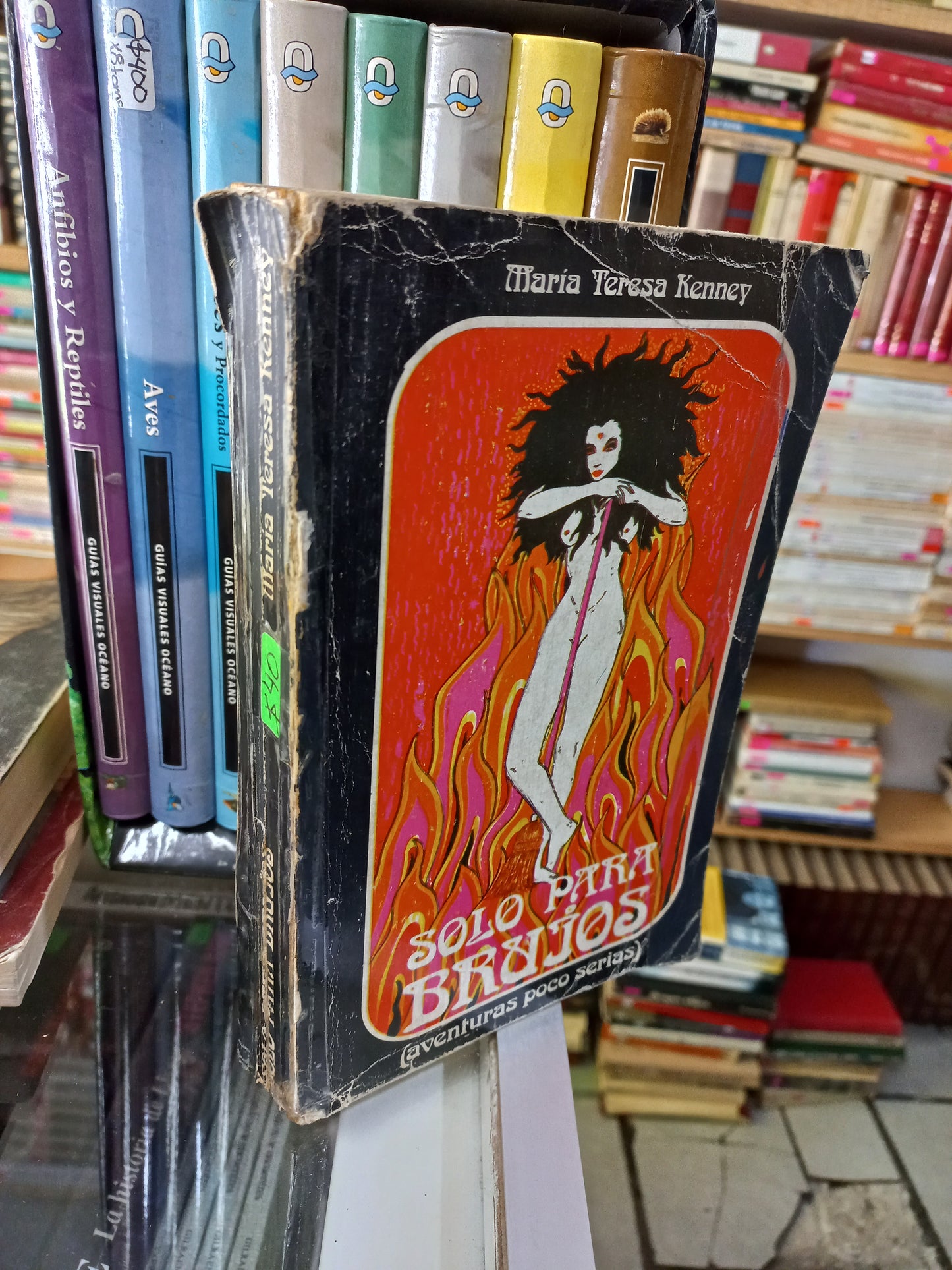 SÓLO PARA BRUJOS POR MARÍA TERESA KENNEY USADO NOVELA JUÁREZ