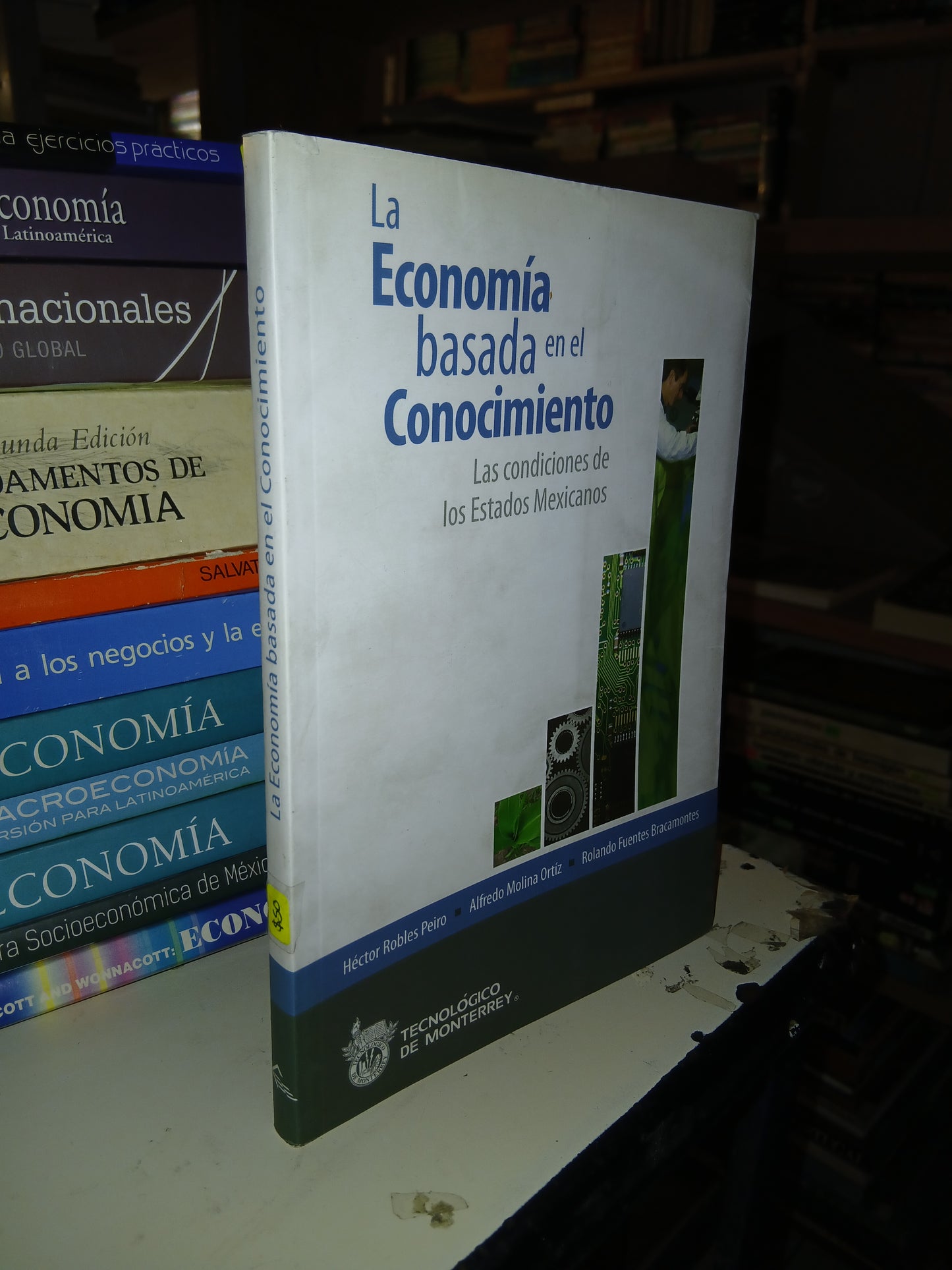 LA ECONOMÍA BASADA EN EL CONOCIMIENTO POR HÉCTOR ROBLES, ALFREDO MOLINA ORTIZ Y ROLANDO FUENTES BRACAMONTES USADO ADMINISTRACIÓN LITERARIO 207